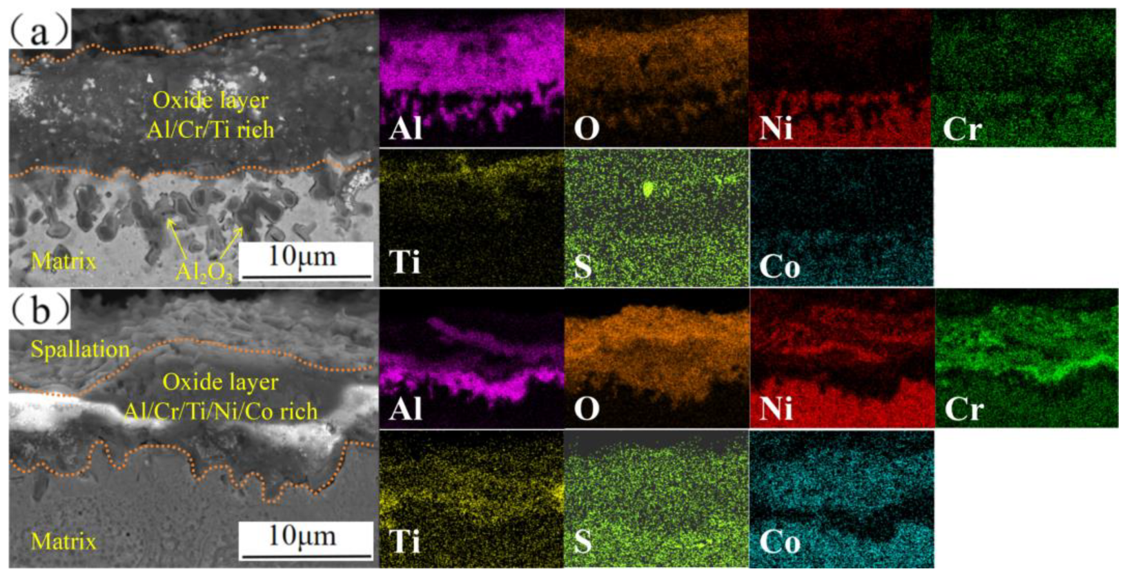 Metals 15 00338 g010
