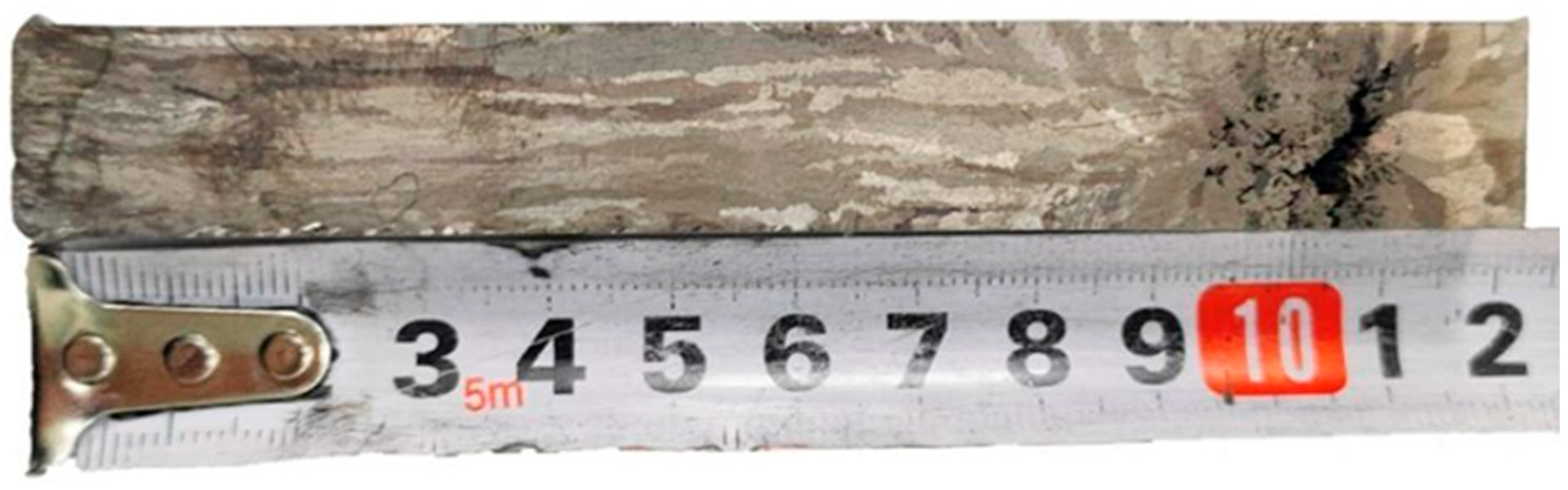 Metals 15 00366 g016