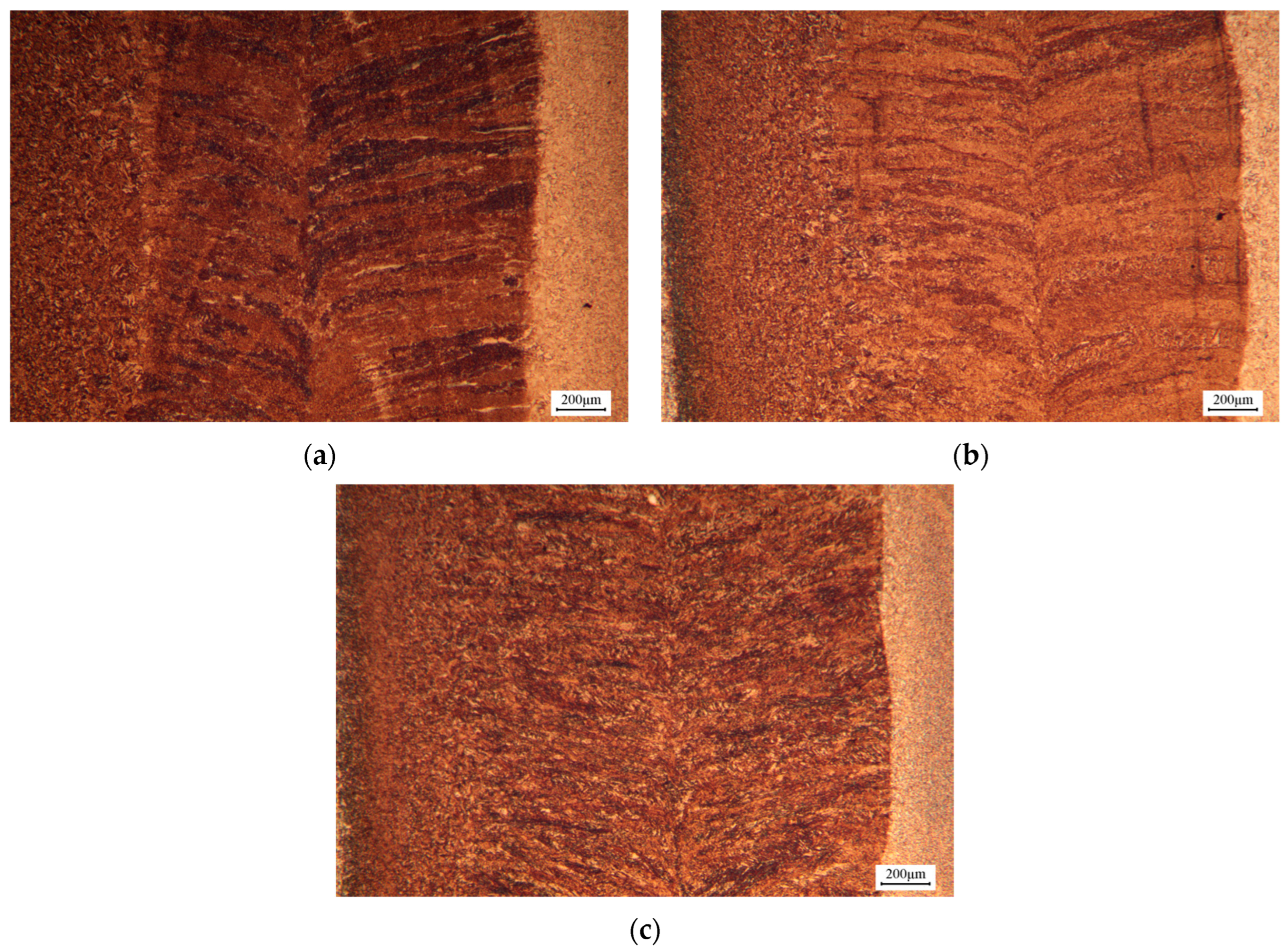 Metals 15 00393 g010