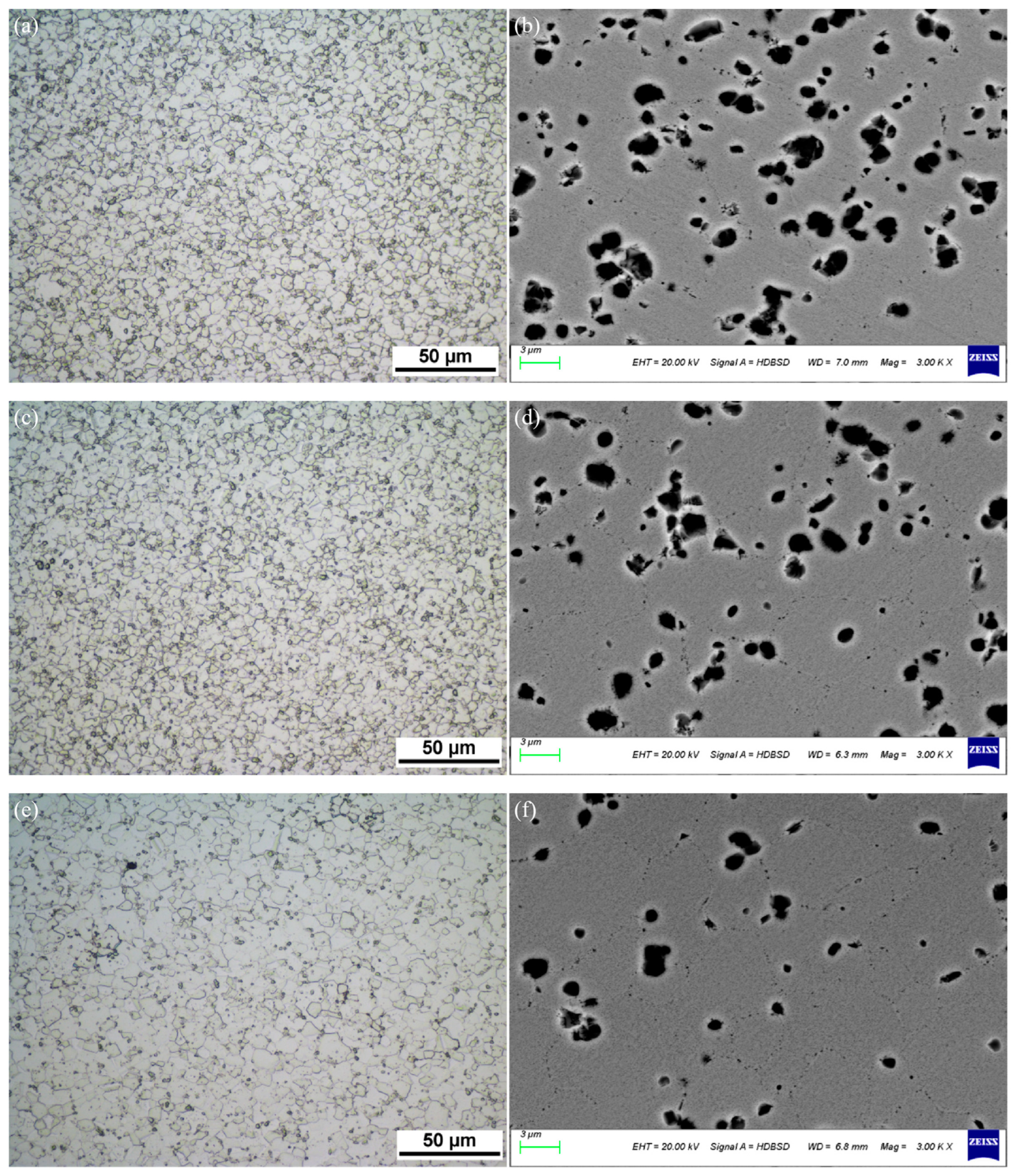 Metals 15 00409 g005