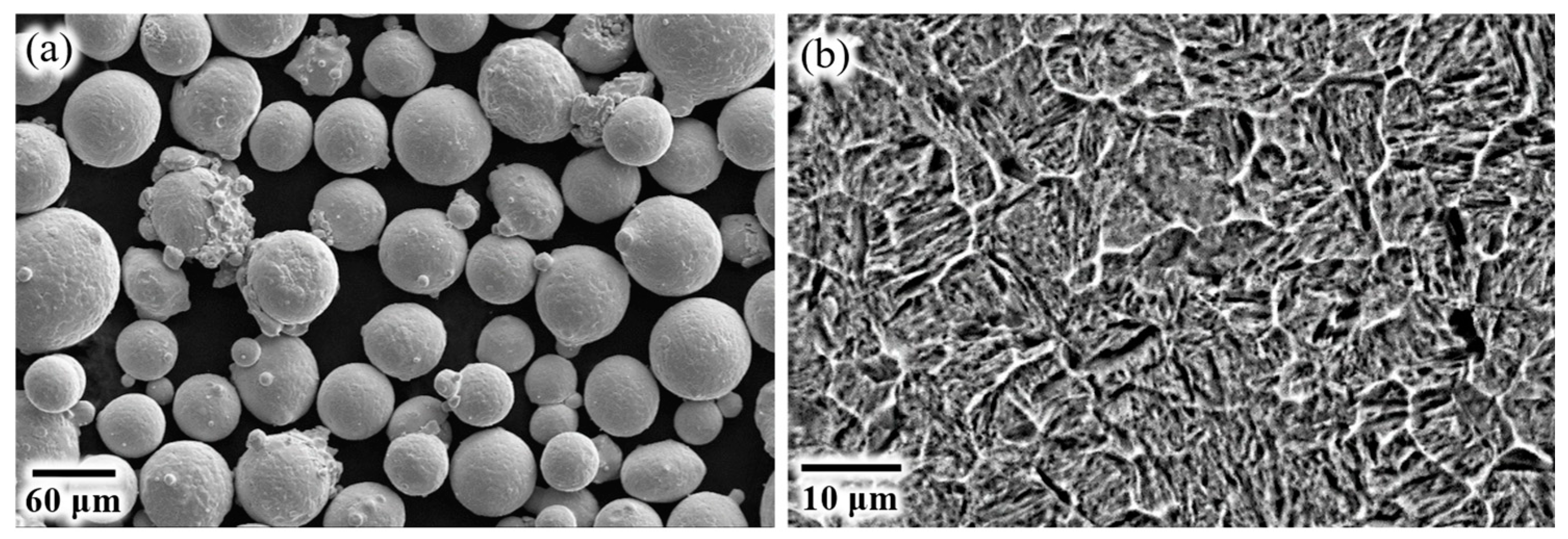 Metals 15 00412 g004