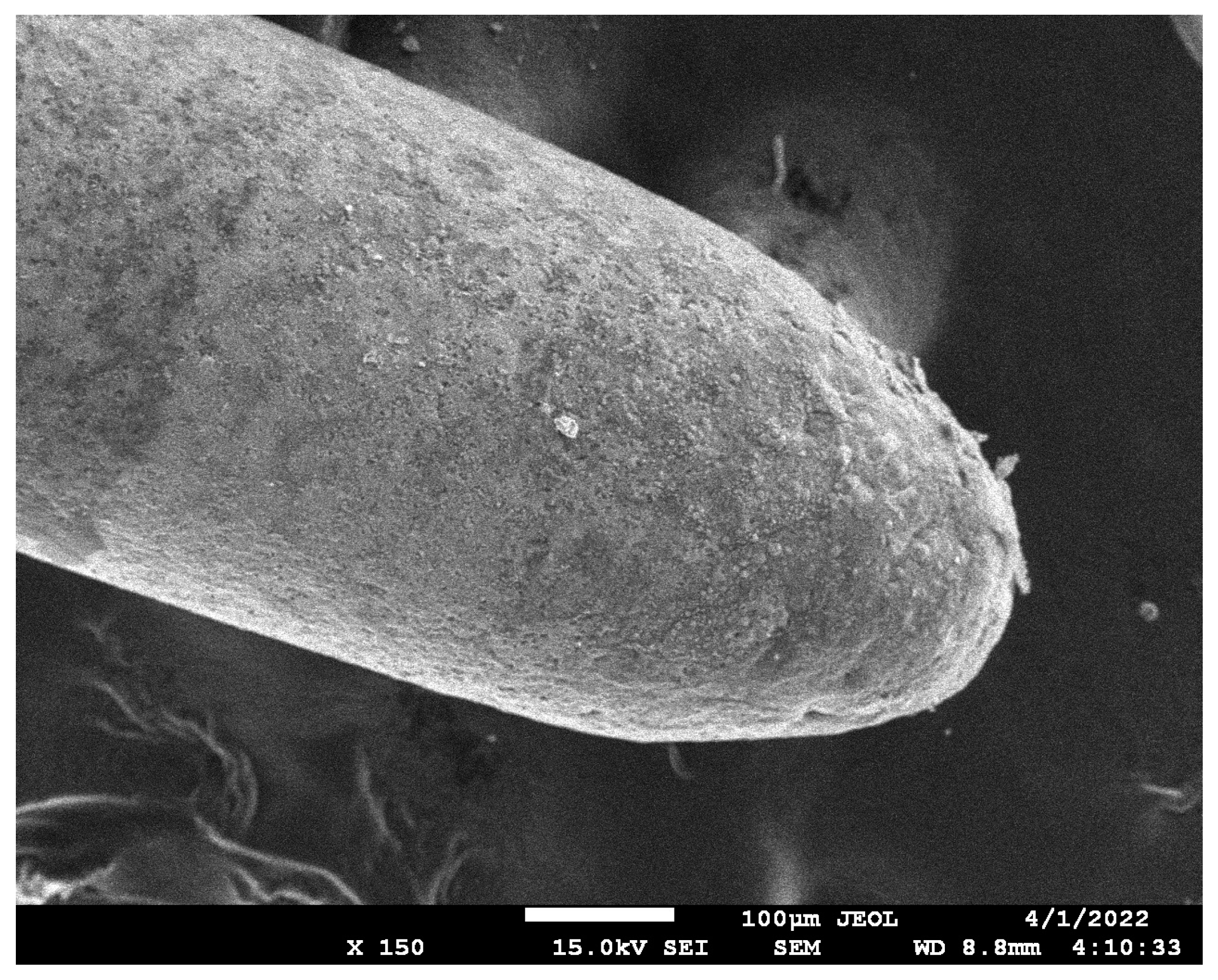 Metals 15 00415 g011