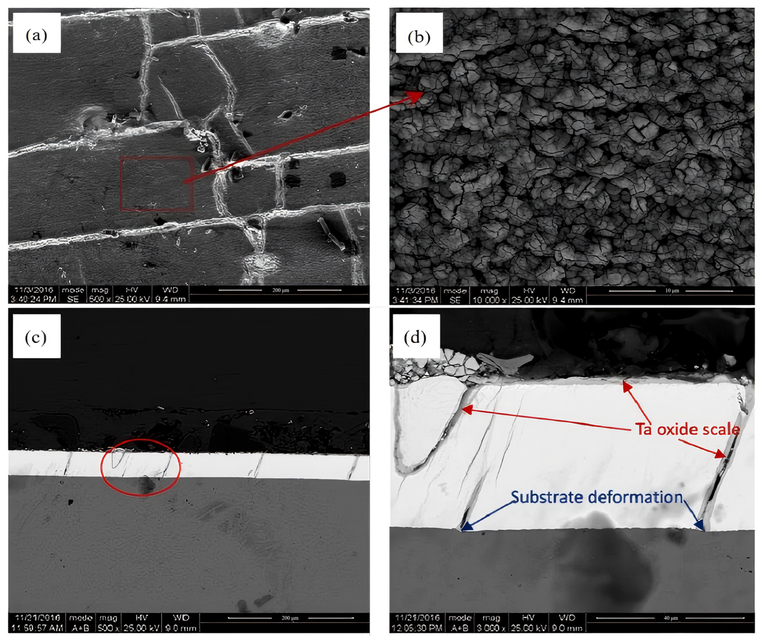 Metals 15 00416 g005 Metals 15 00416 g005