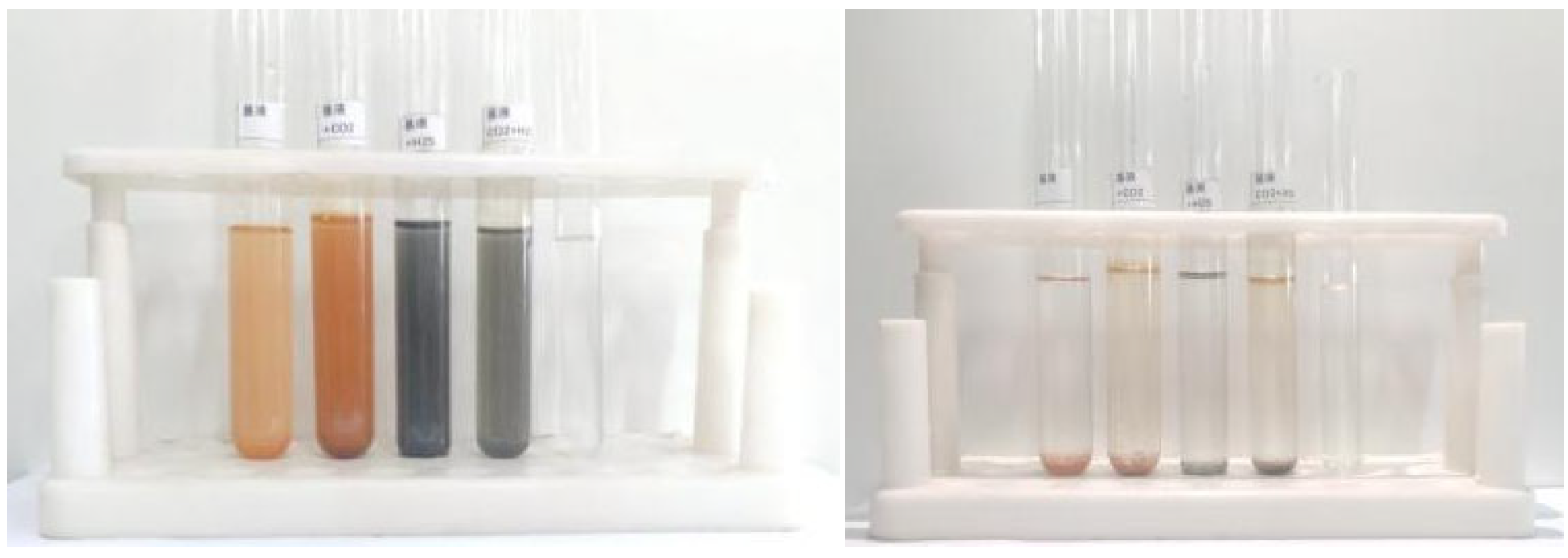 Metals 15 00440 g005