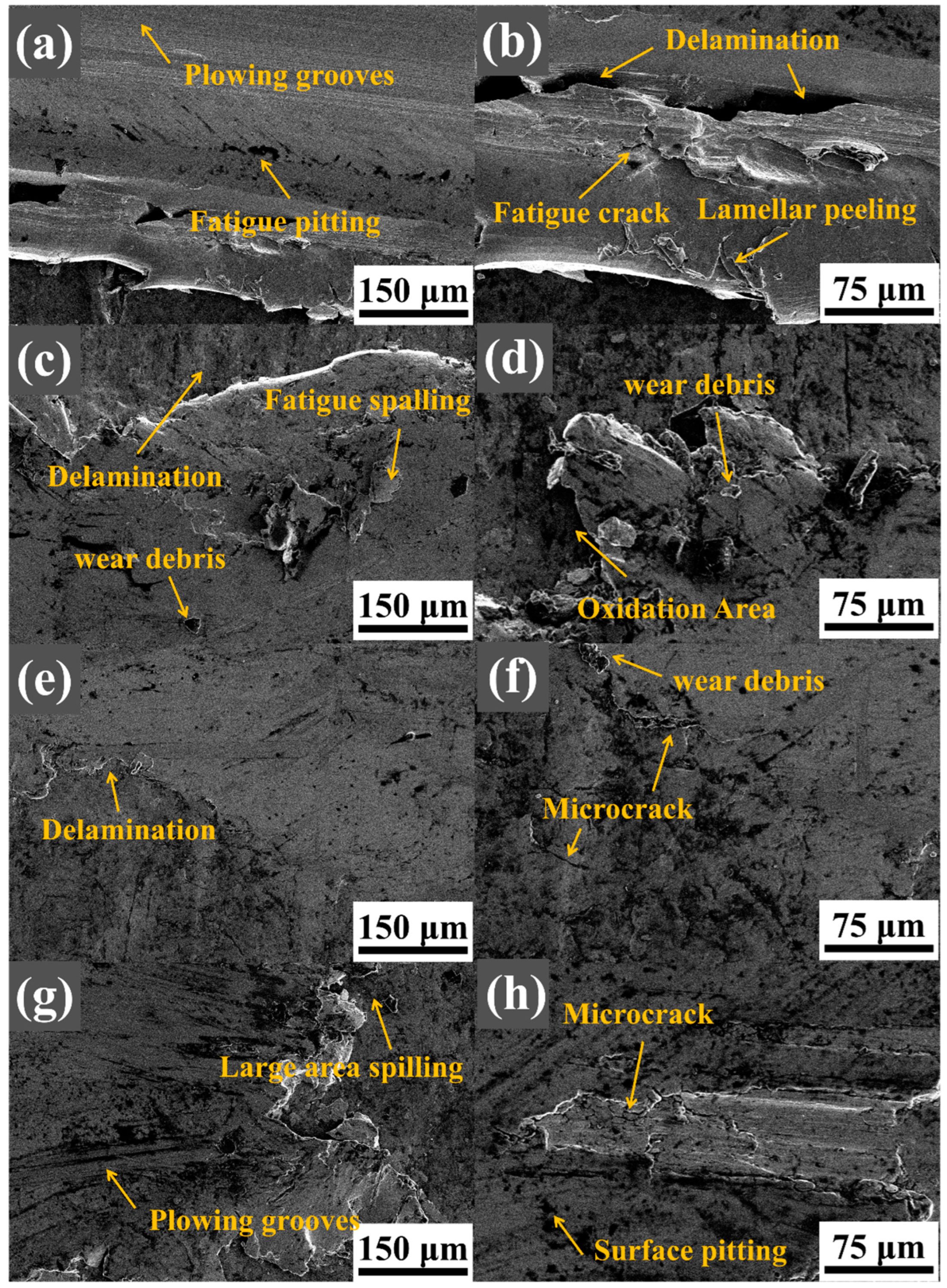 Metals 15 00444 g008