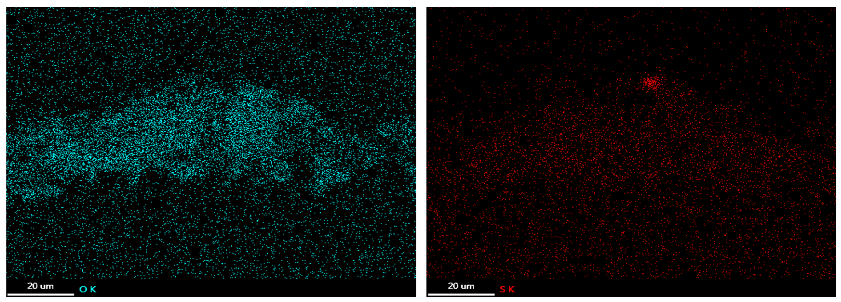 Metals 15 00446 g007b