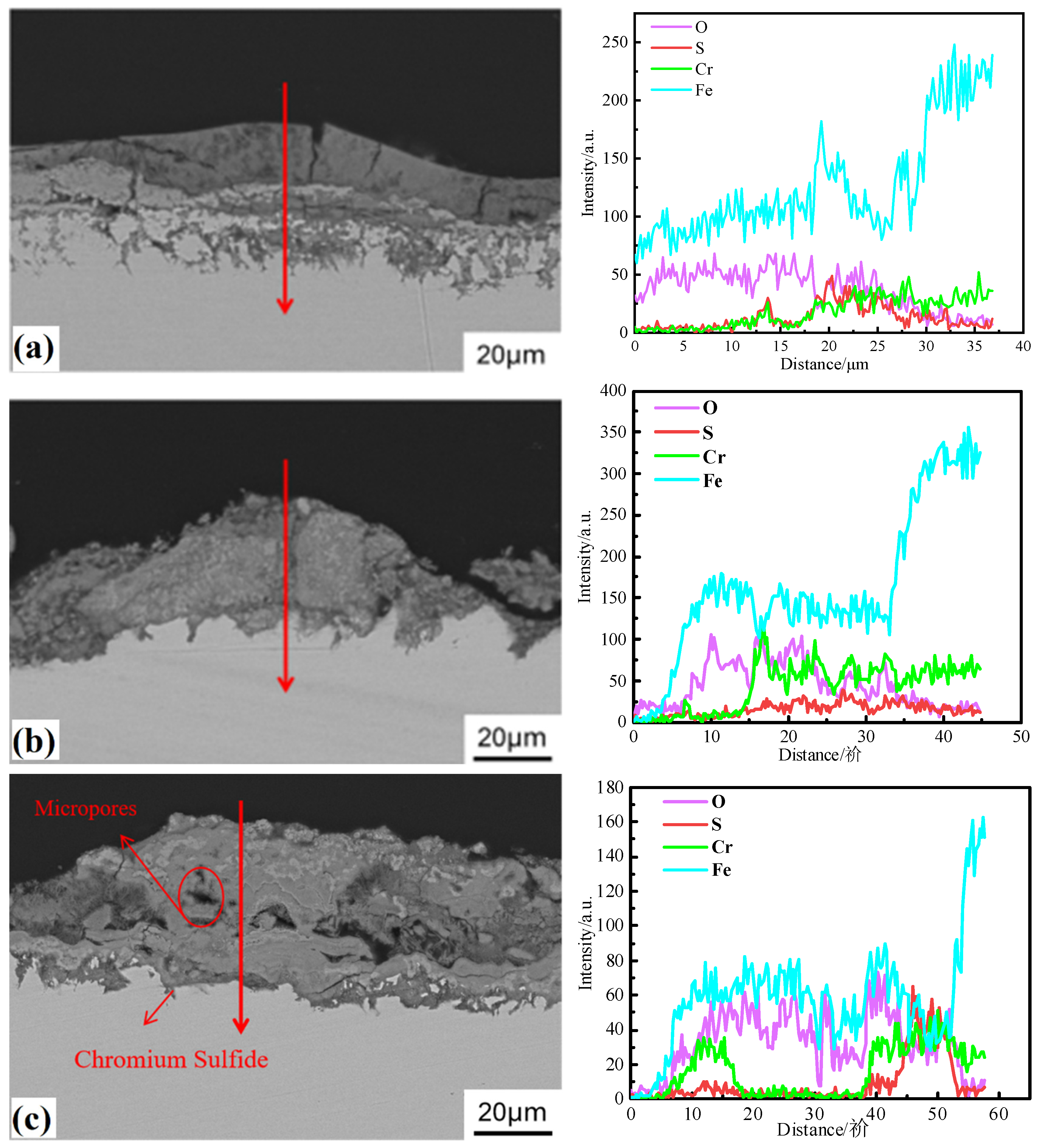 Metals 15 00446 g010a