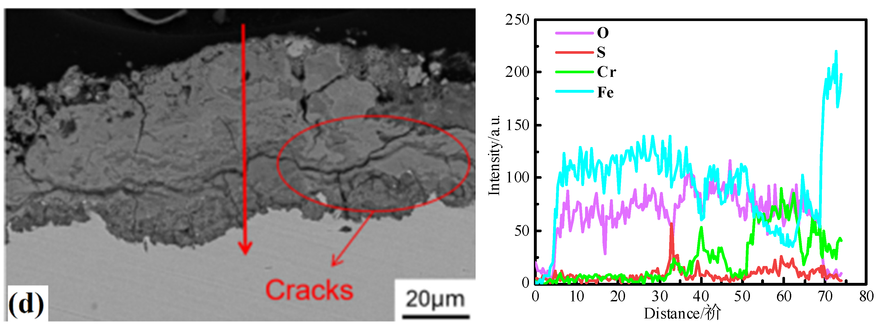 Metals 15 00446 g010b
