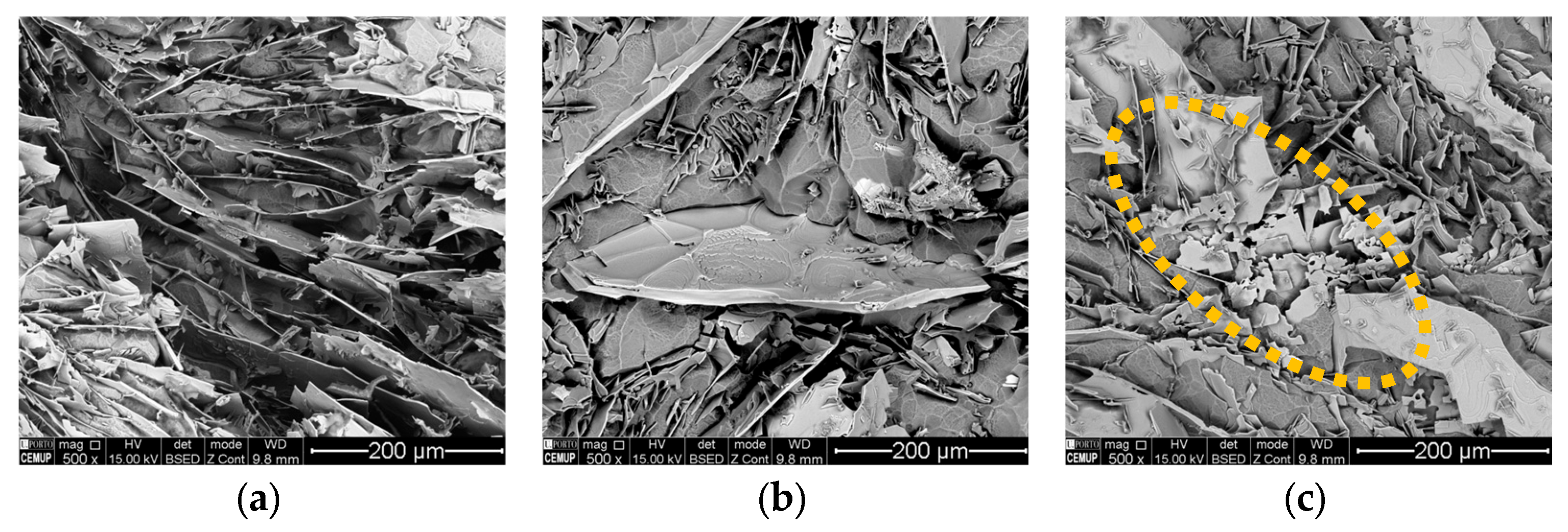 Metals 15 00451 g005