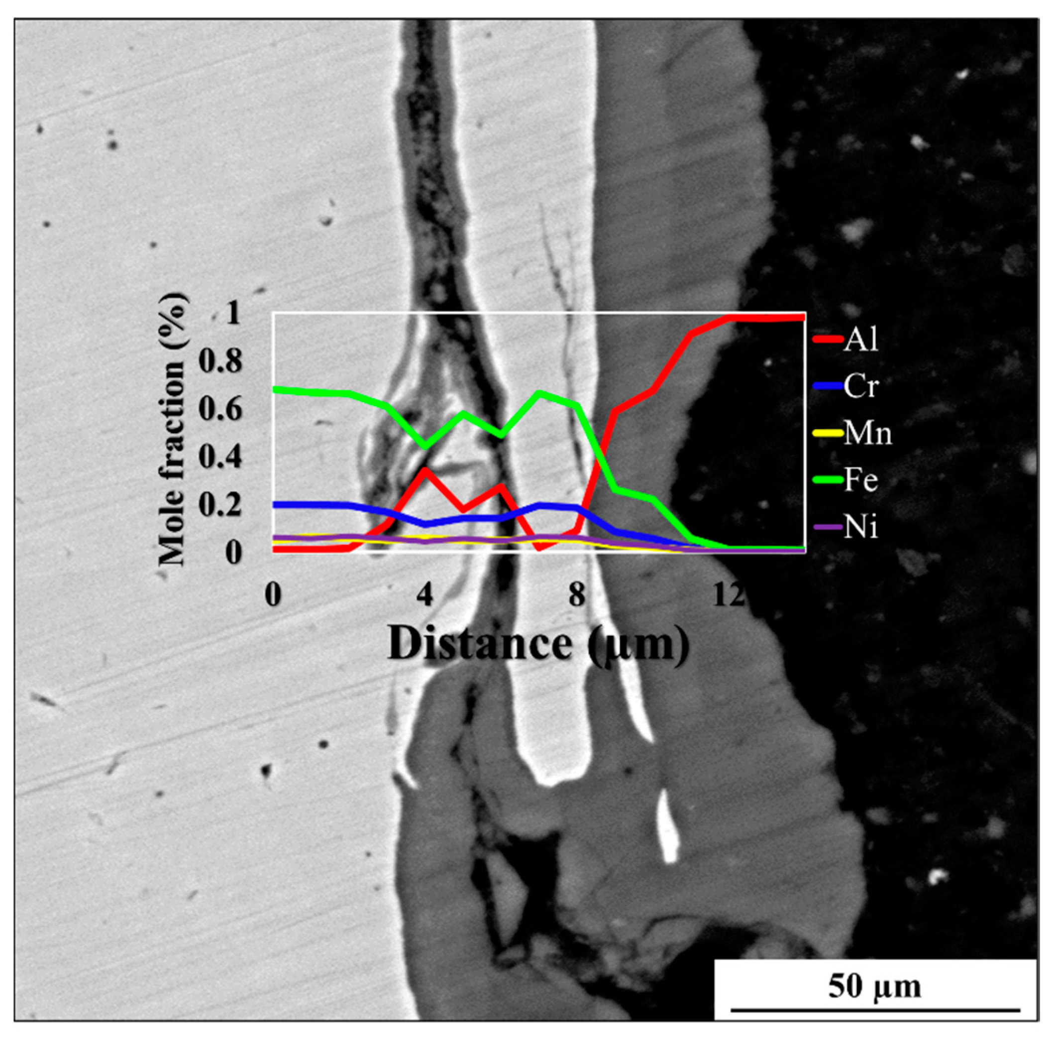 Metals 15 00465 g011