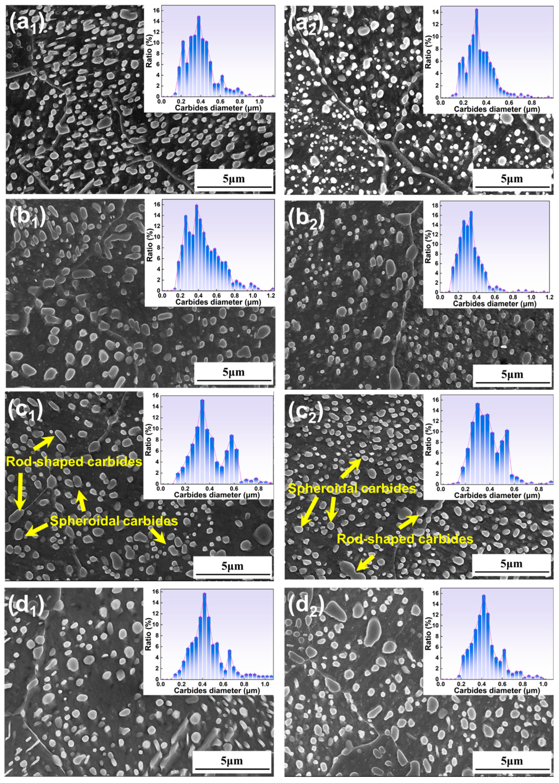 Metals 15 00467 g006