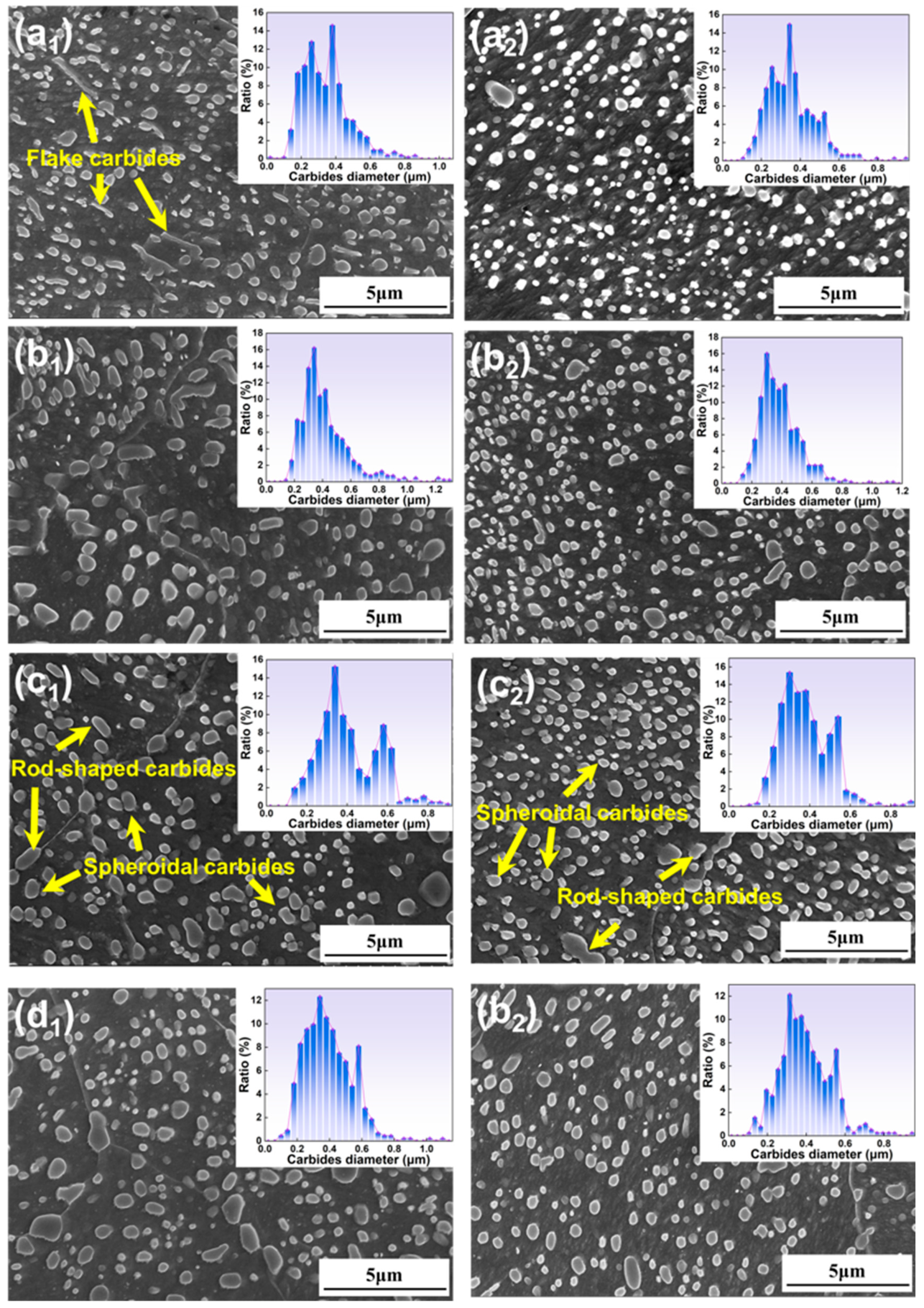 Metals 15 00467 g008