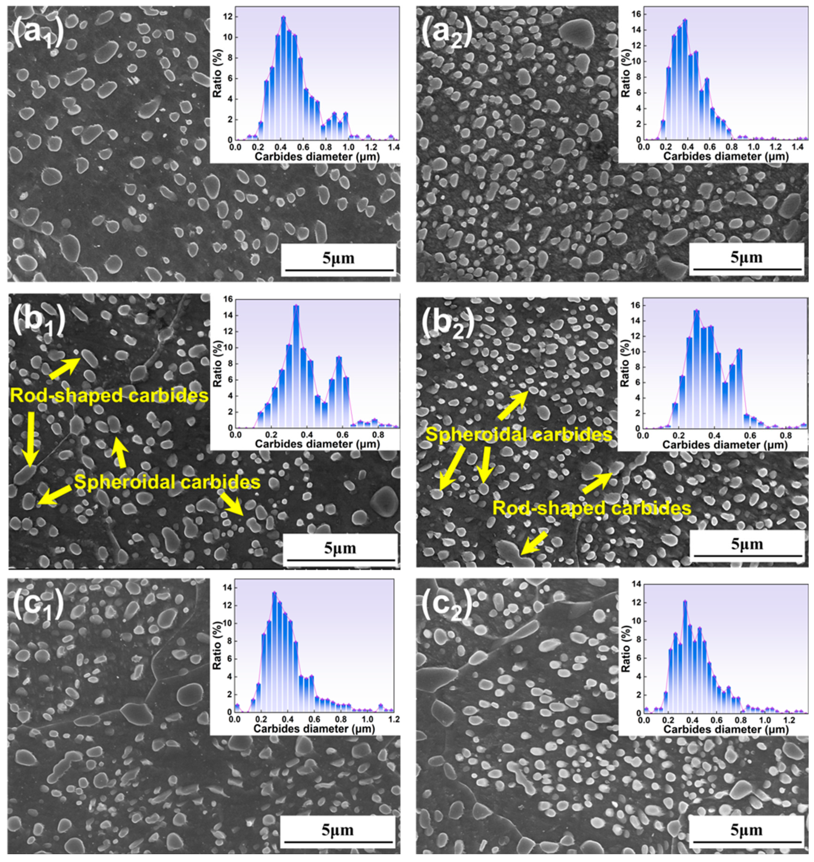 Metals 15 00467 g010