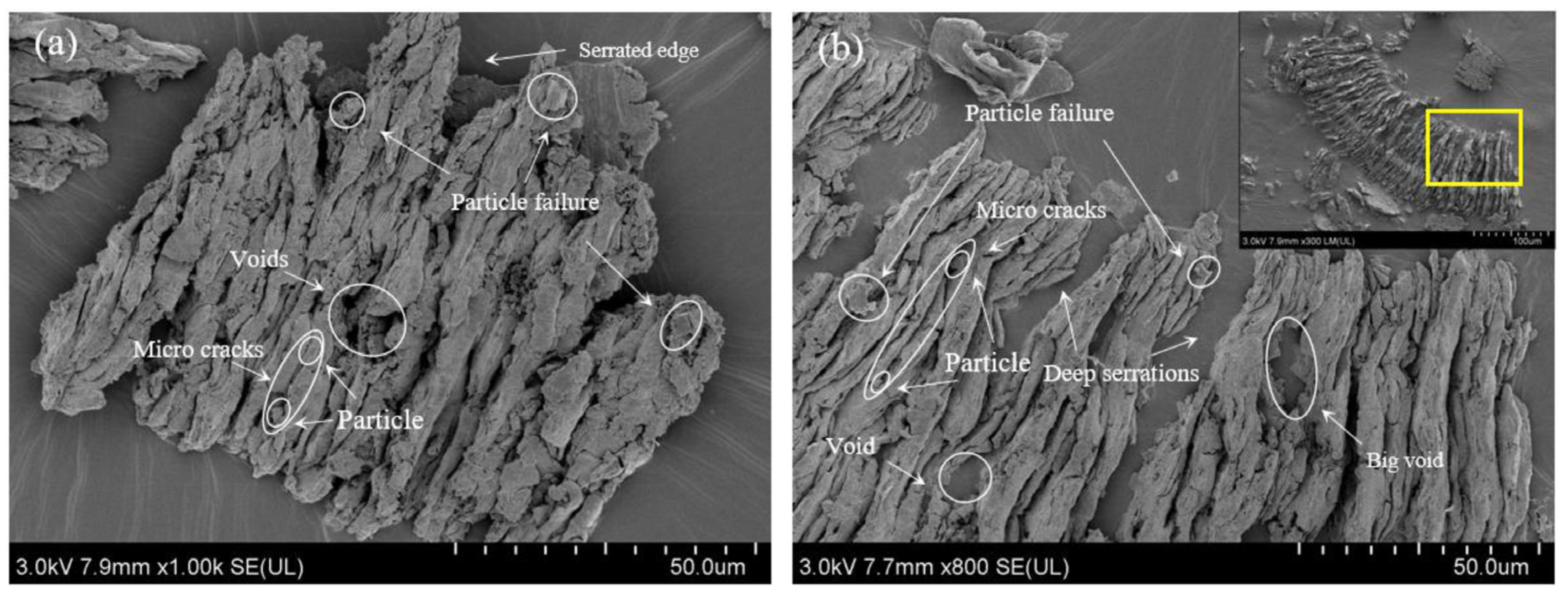 Metals 15 00470 g011
