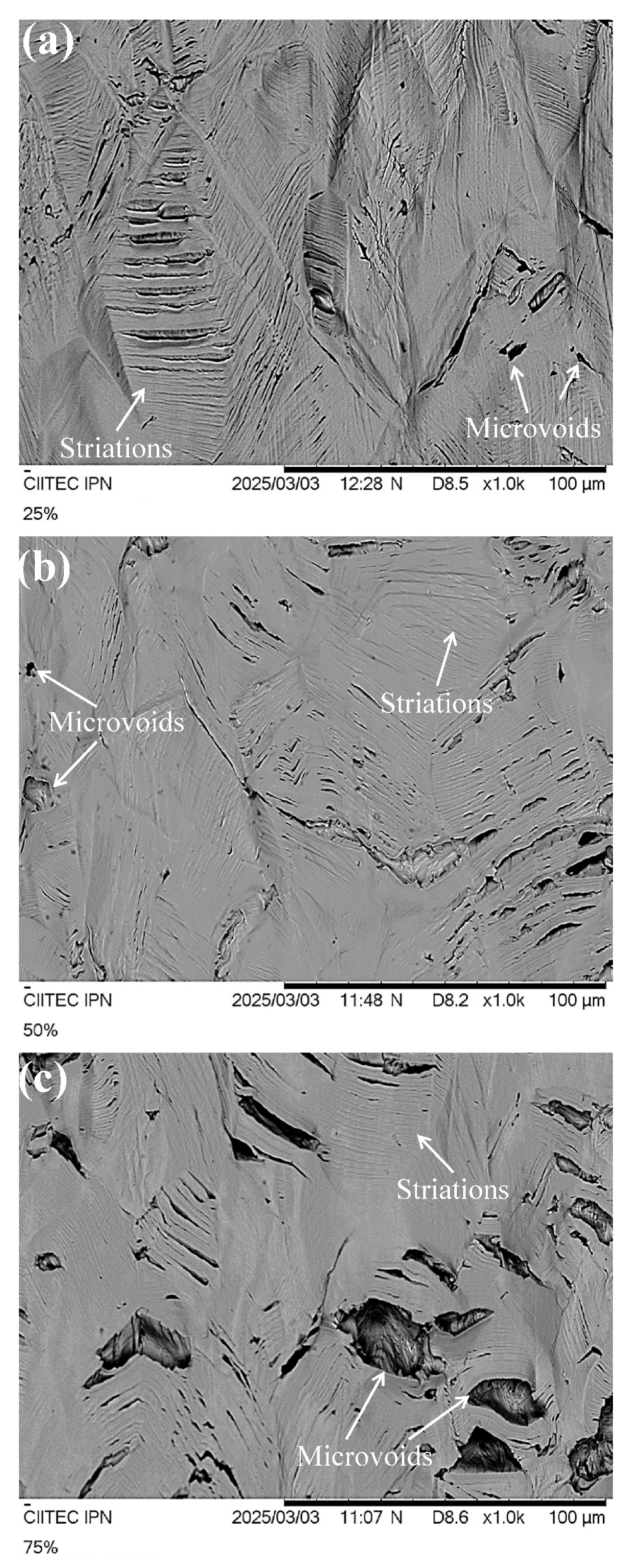Metals 15 00472 g011