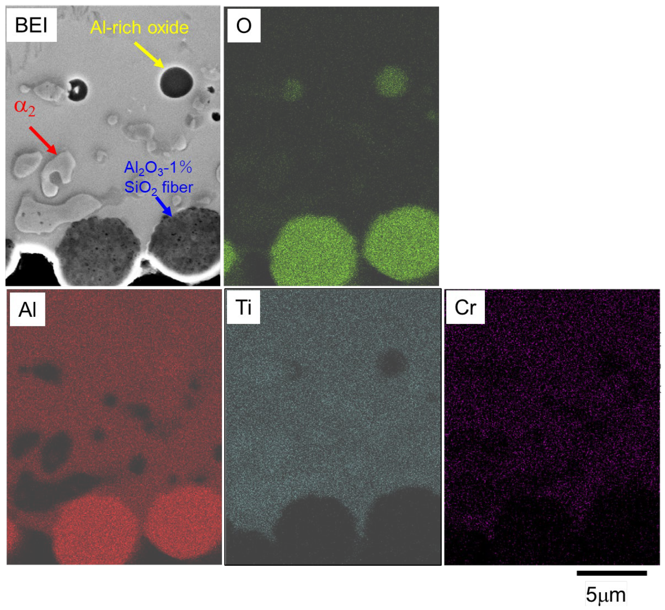 Metals 15 00474 g013