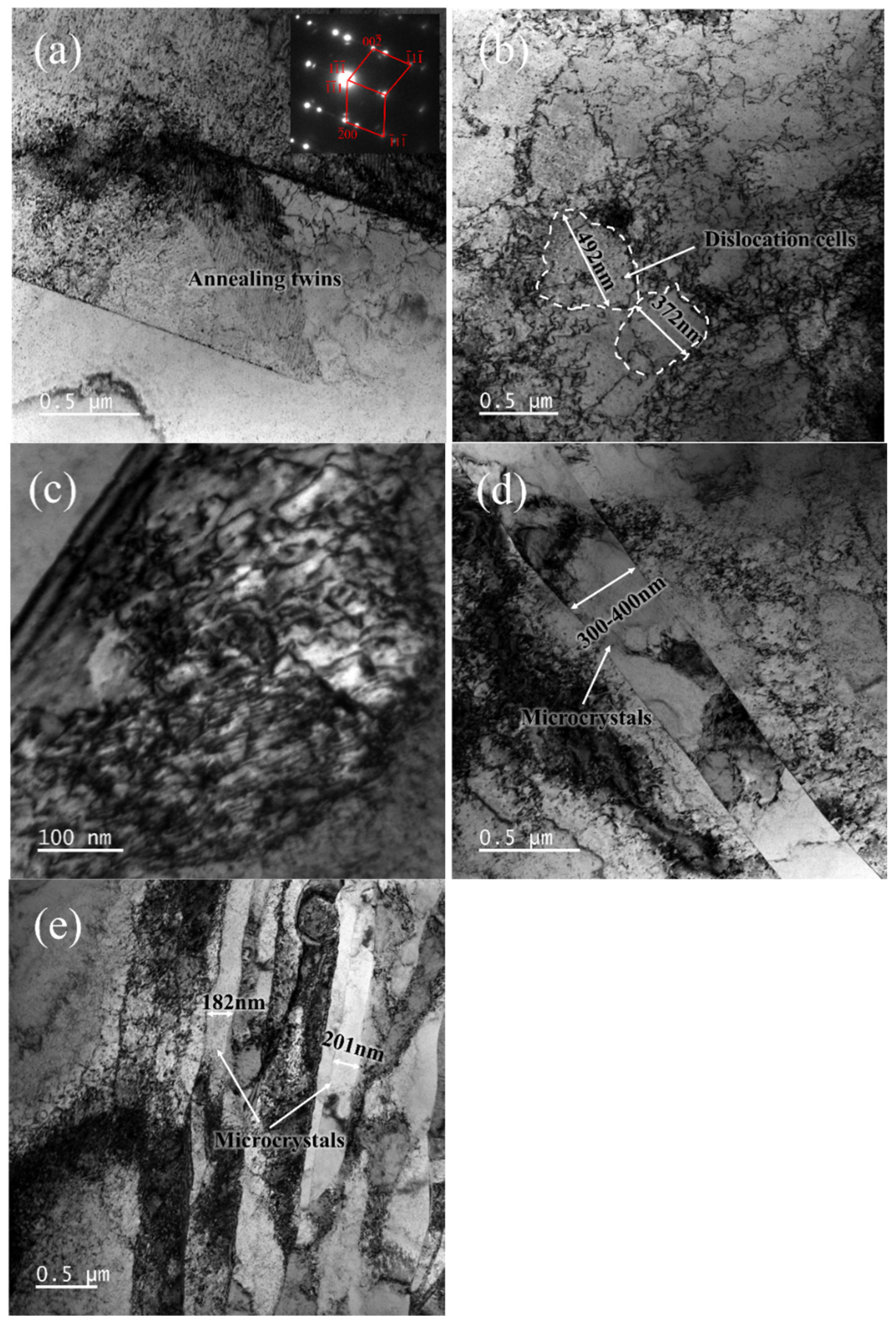 Metals 15 00482 g011