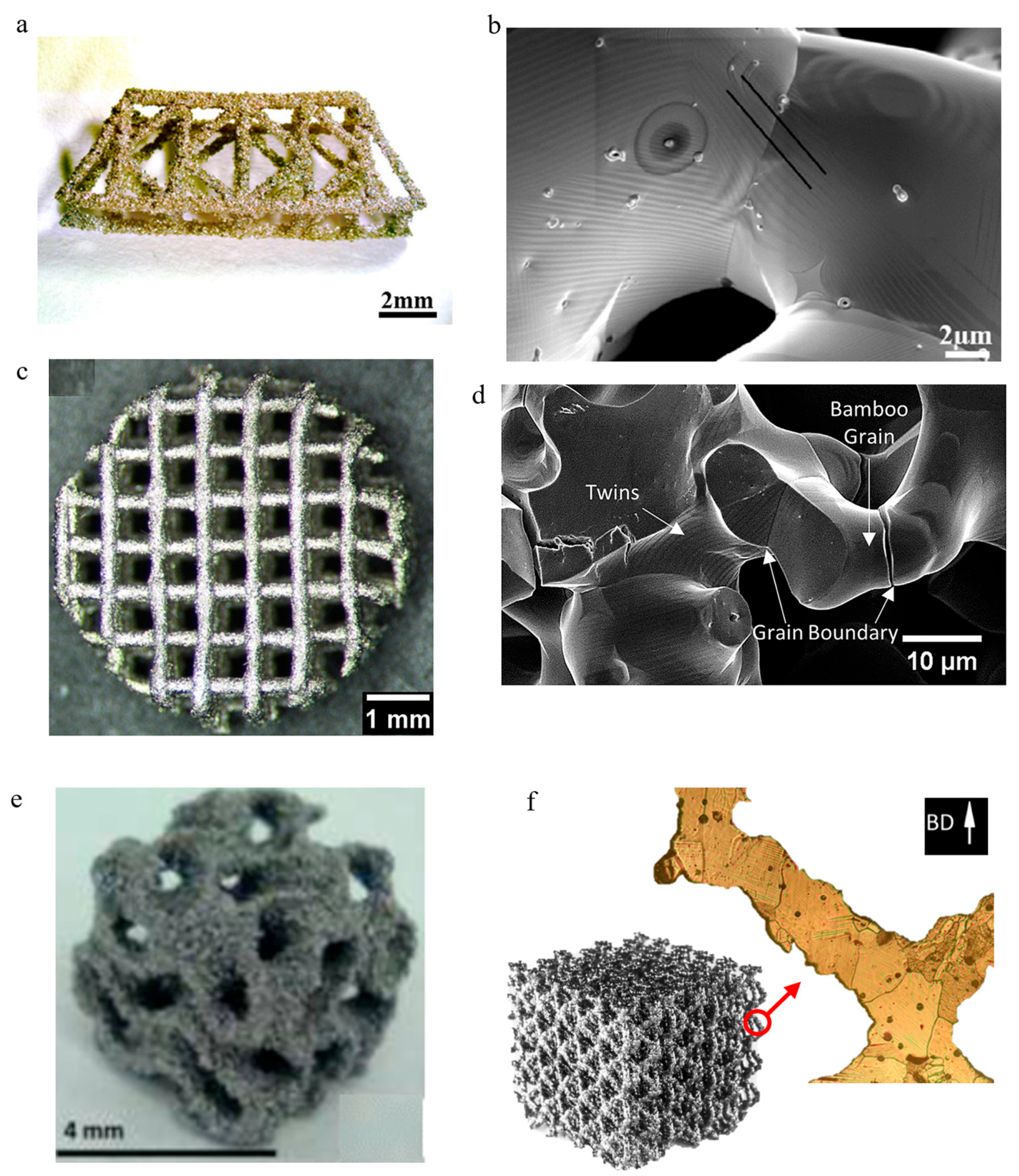 Metals 15 00488 g011