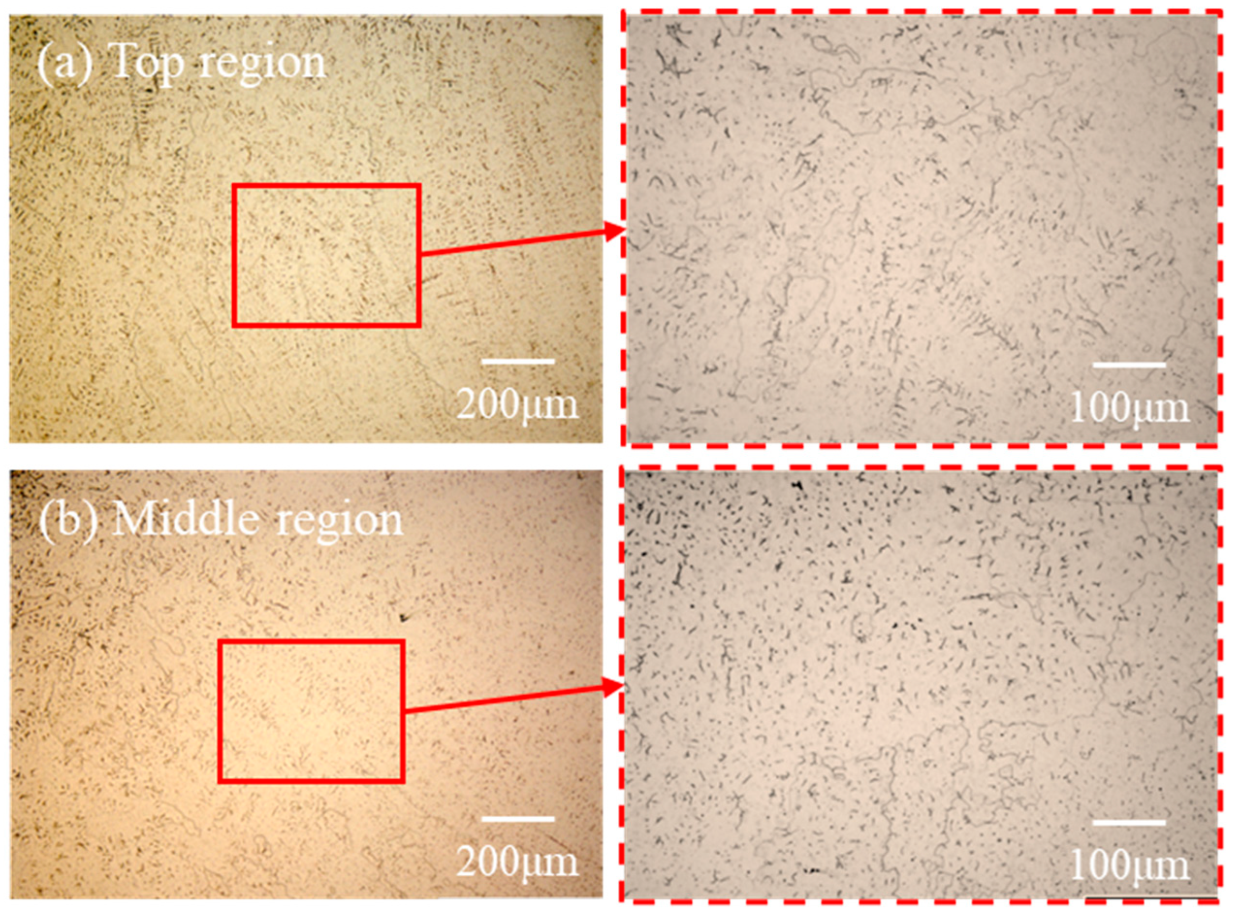 Metals 15 00491 g011