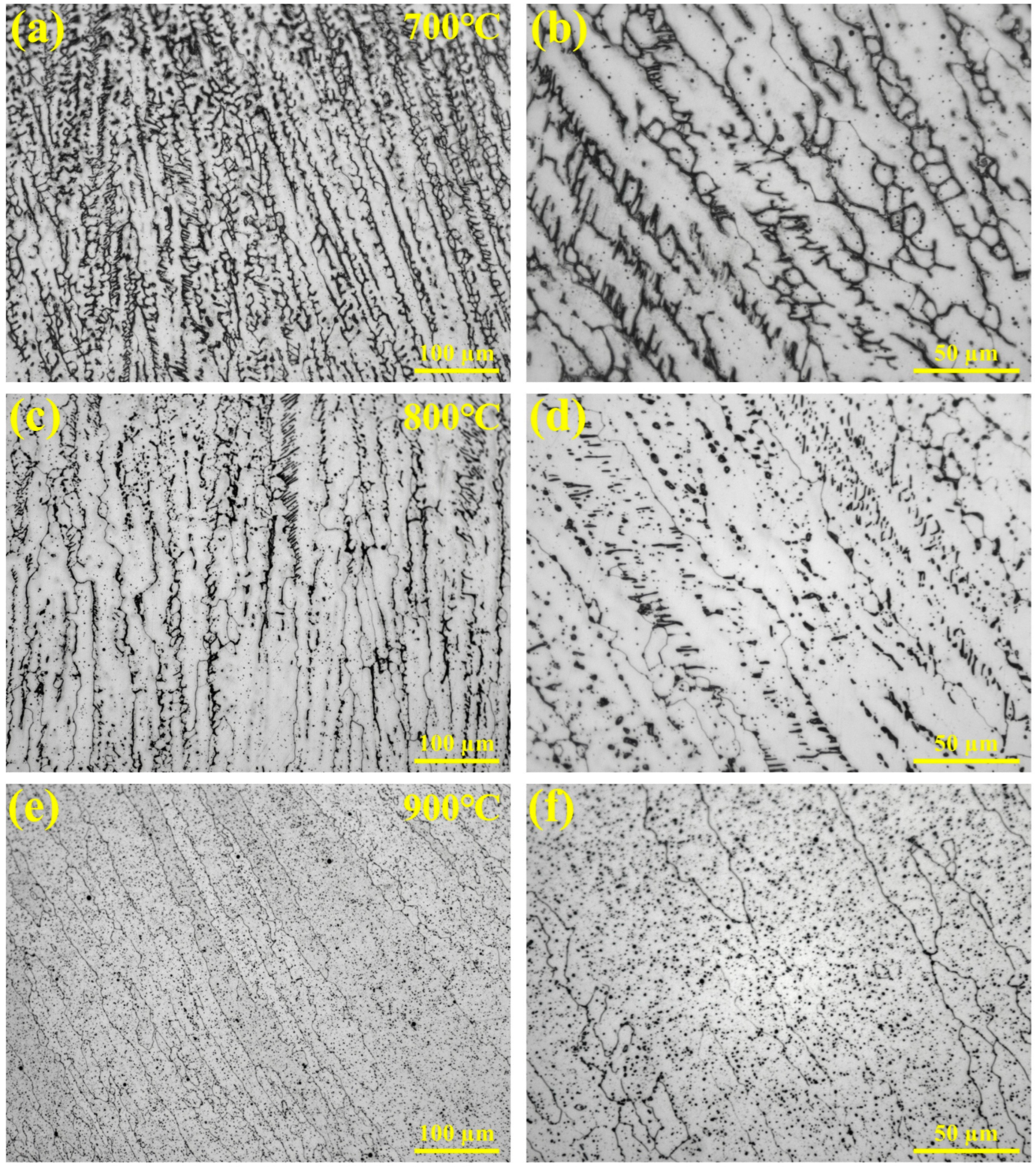 Metals 15 00518 g006