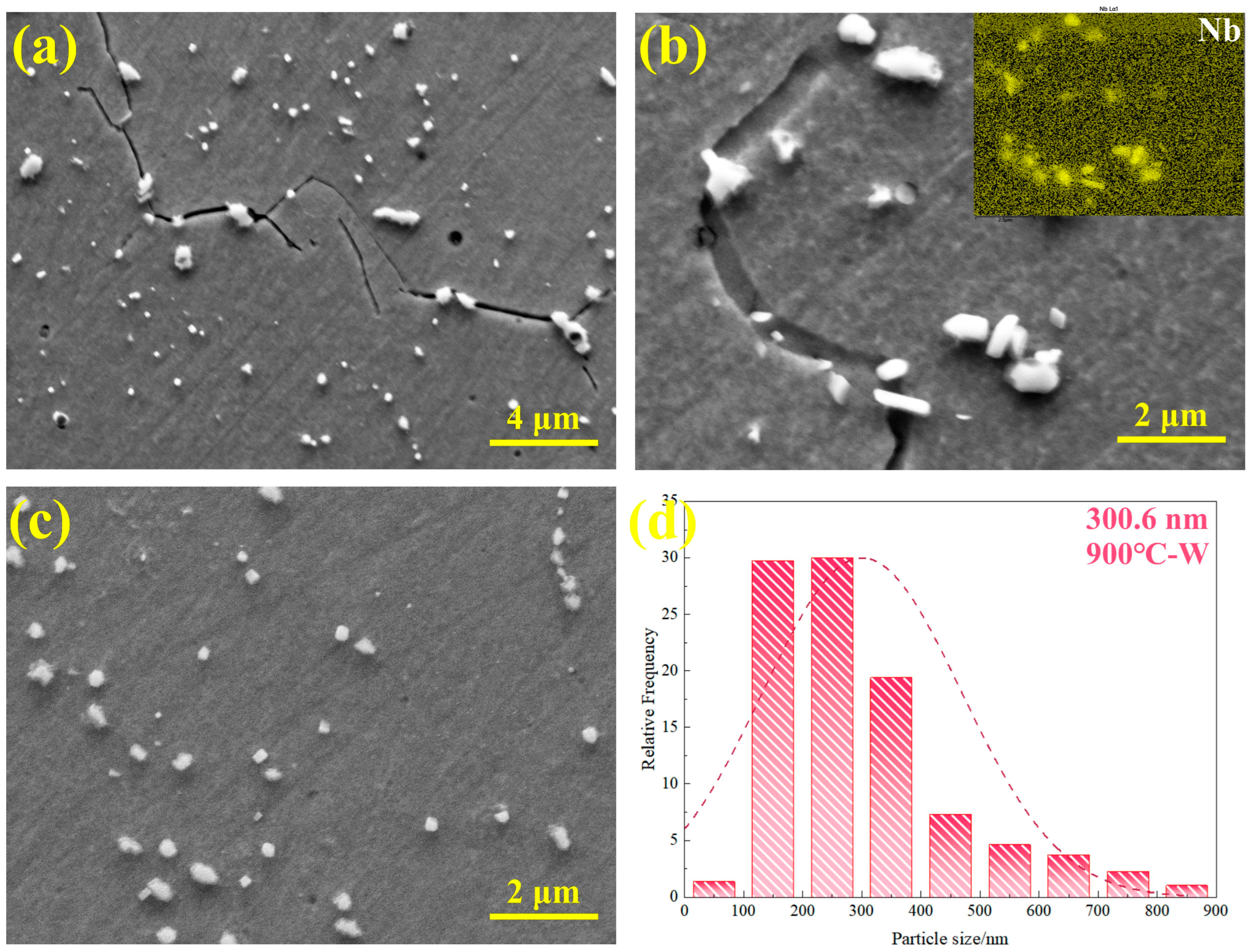 Metals 15 00518 g016