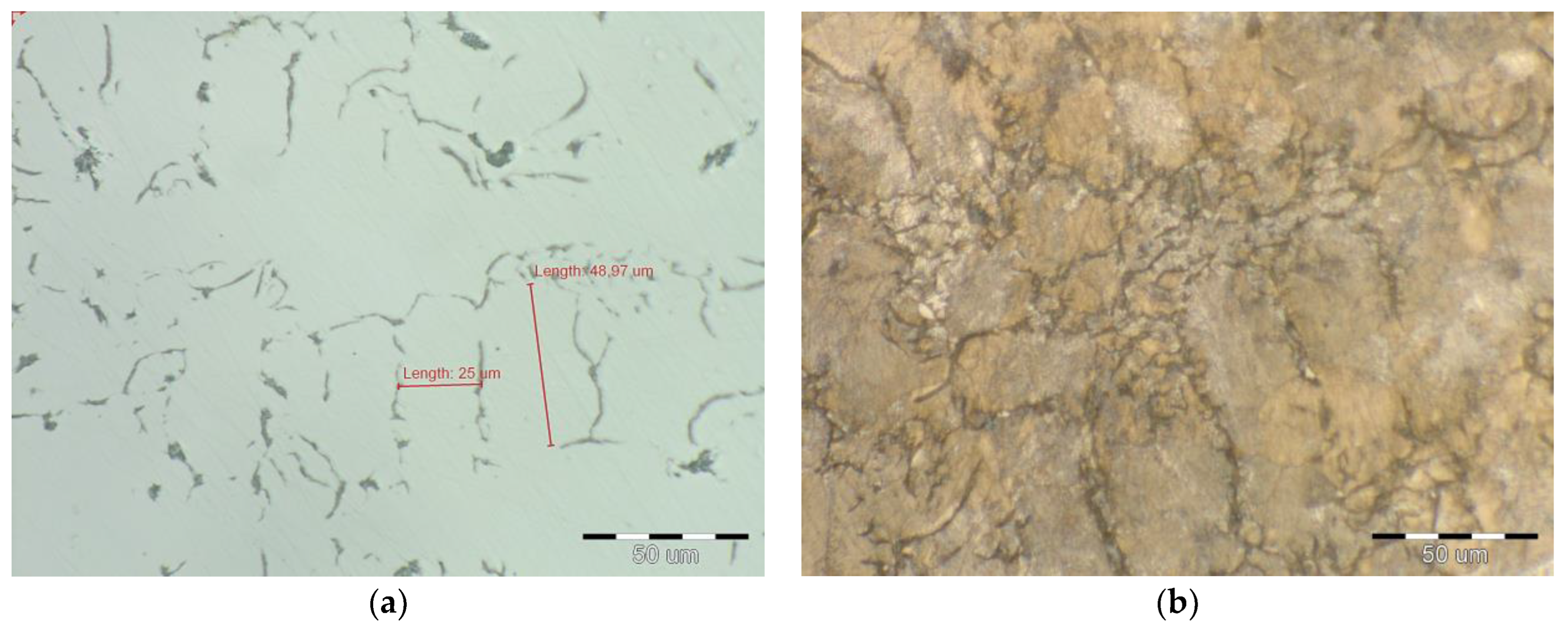 Metals 15 00520 g005