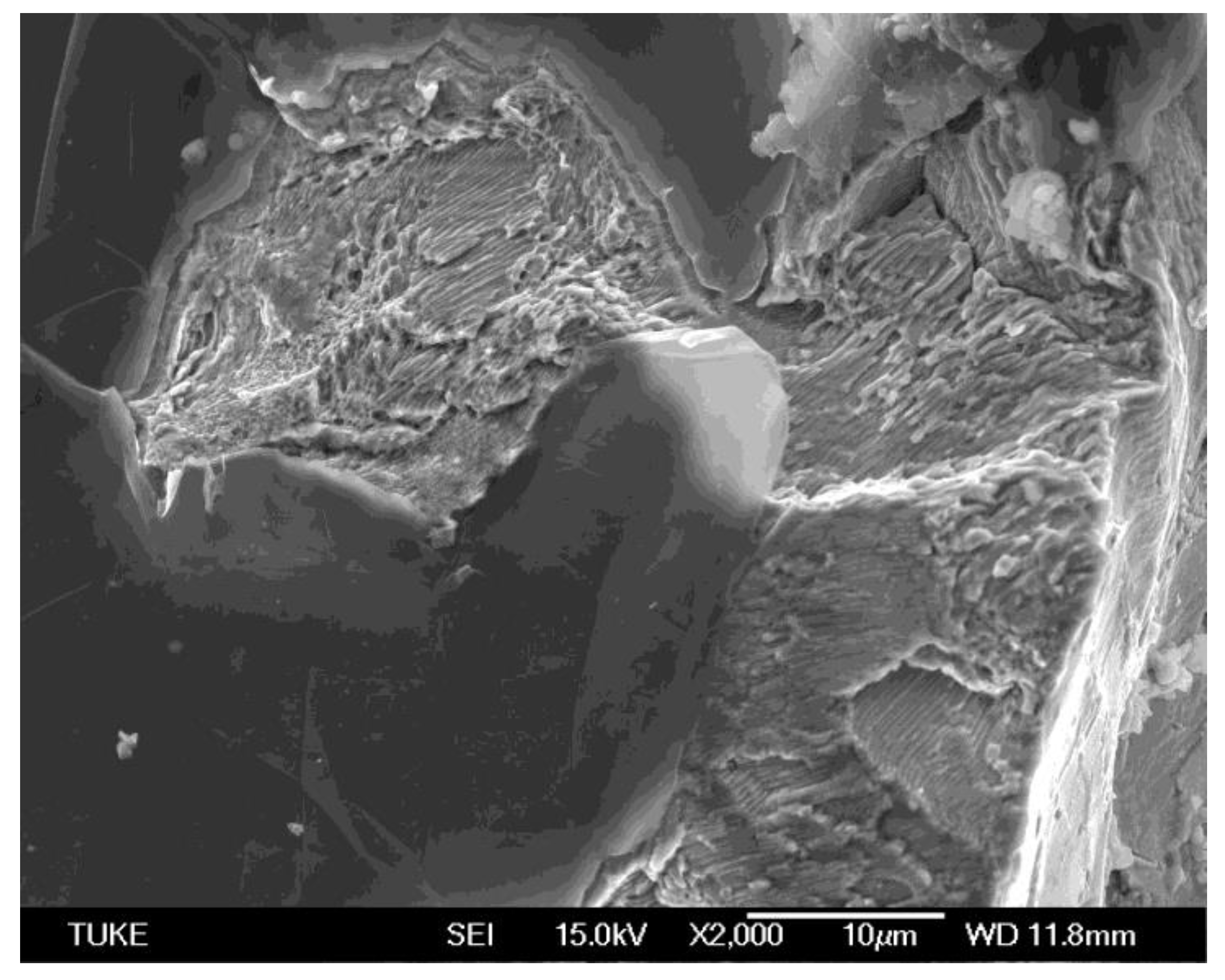 Metals 15 00520 g010