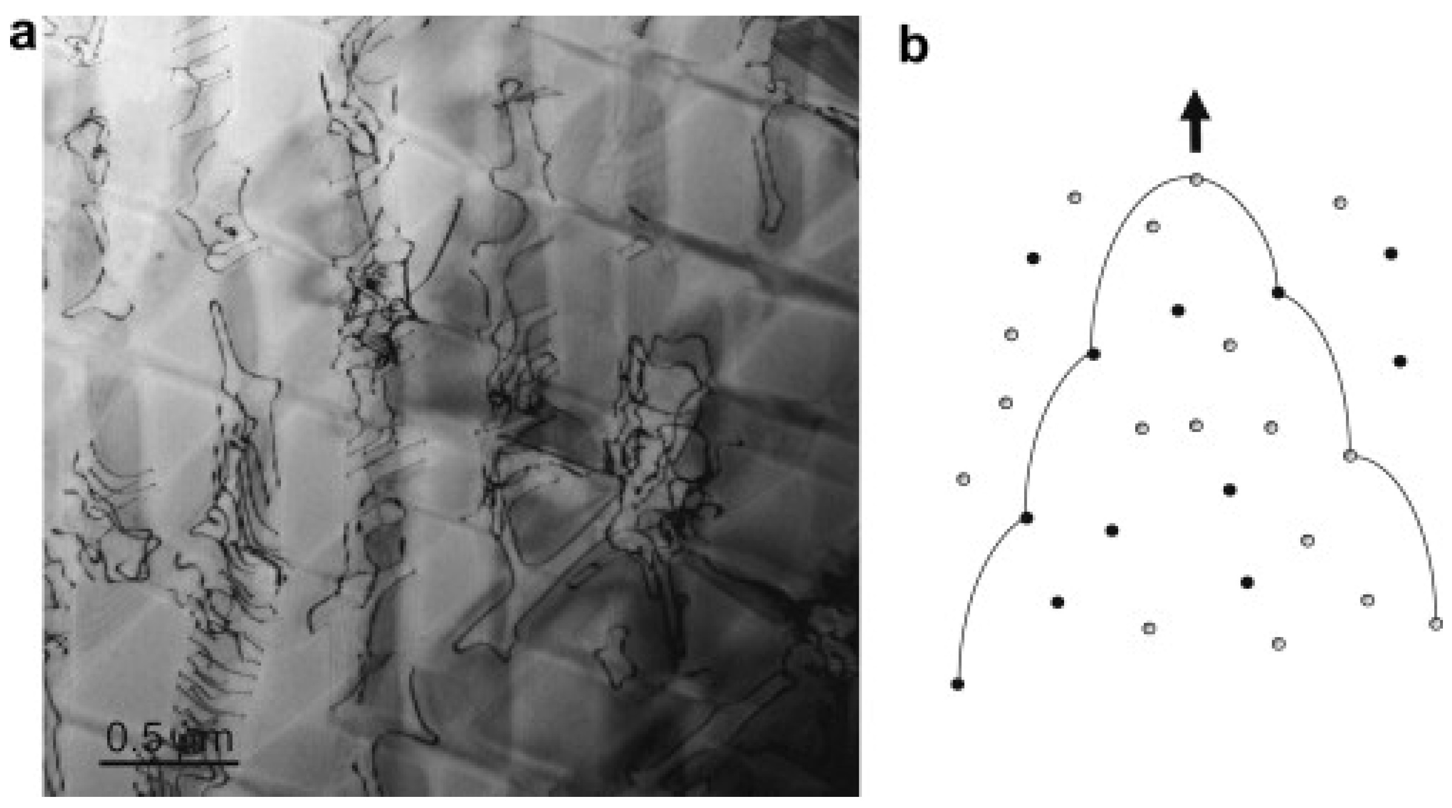 Metals 15 00793 g009