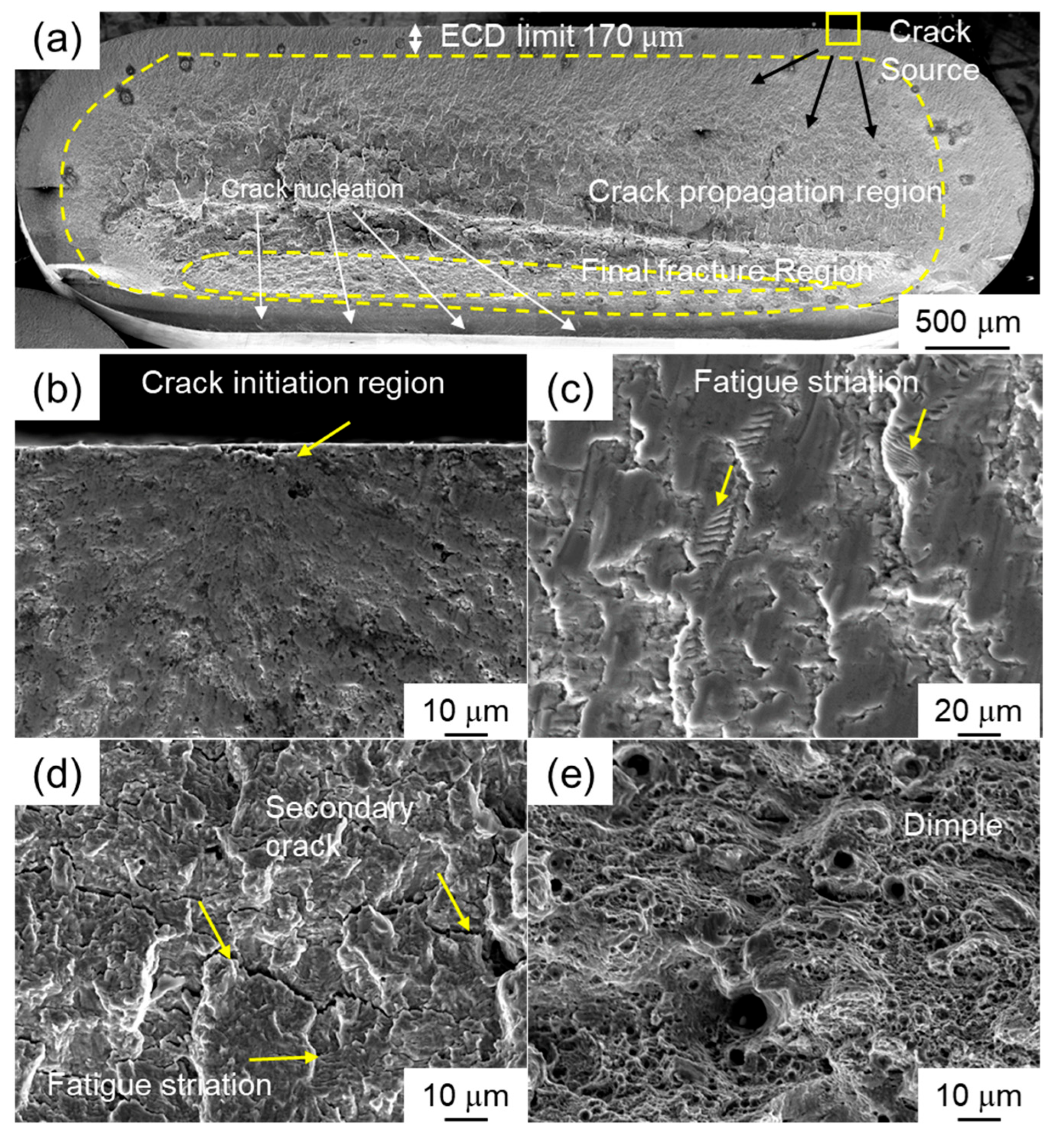 Metals 15 00944 g010 Metals 15 00944 g010