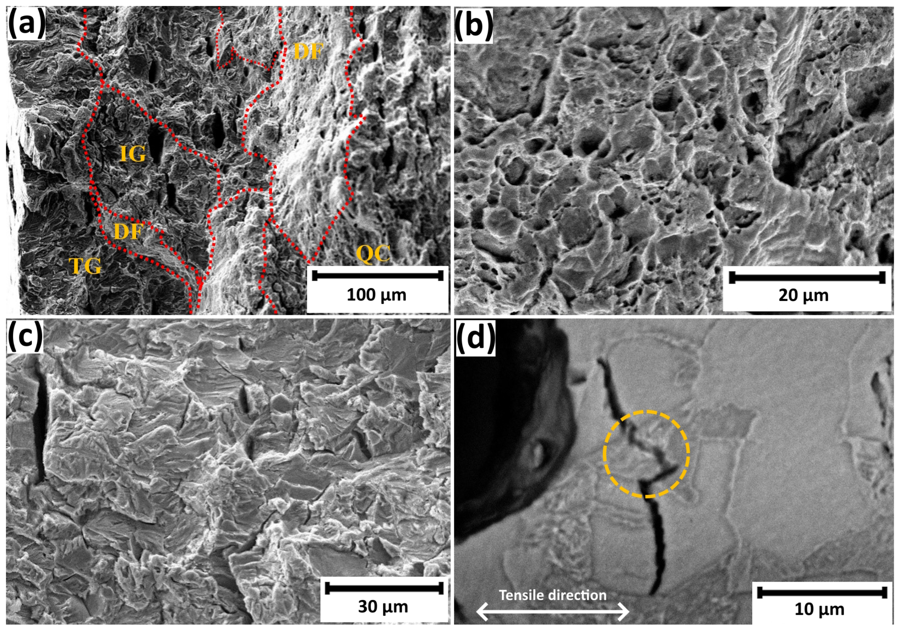 Metals 15 01079 g005 Metals 15 01079 g005