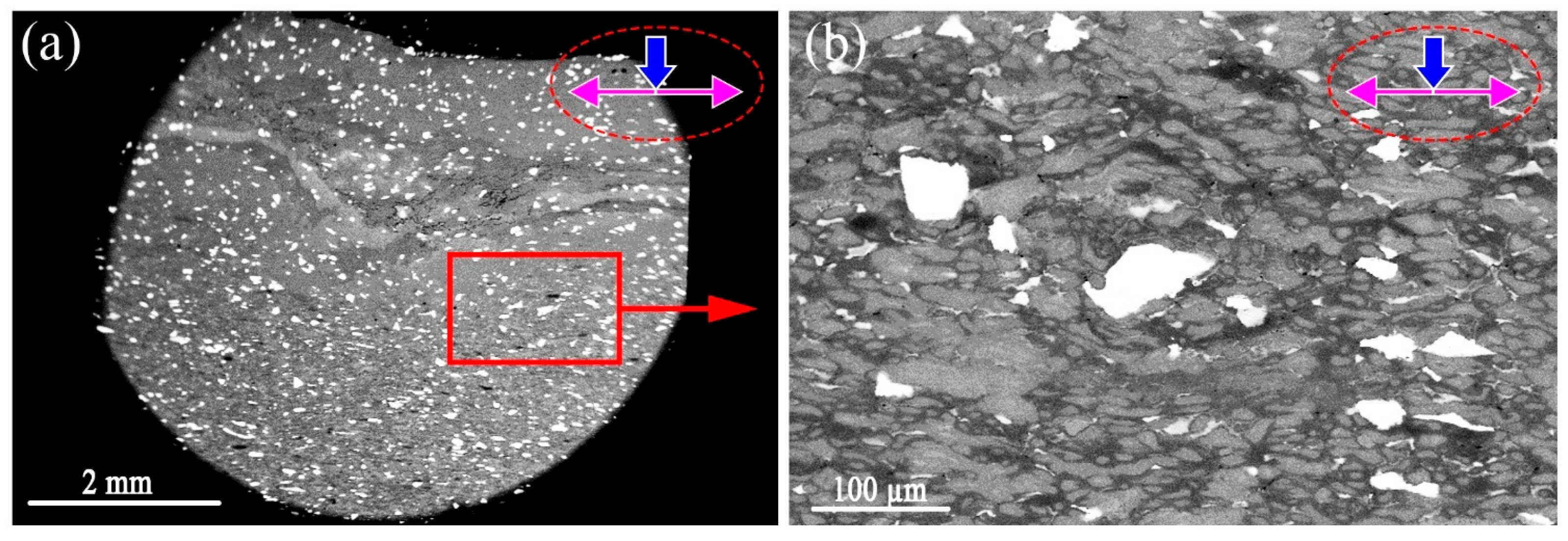 Metals 15 01088 g003 Metals 15 01088 g003