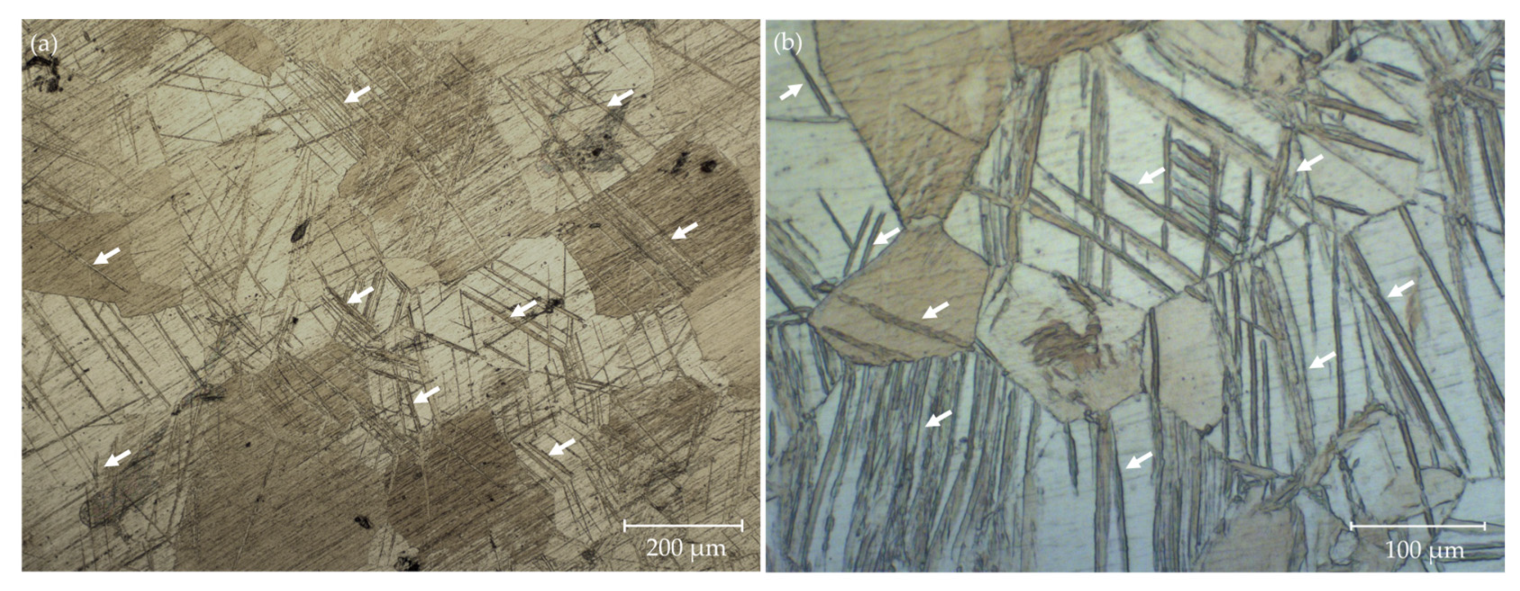 Metals 15 01165 g003 Metals 15 01165 g003