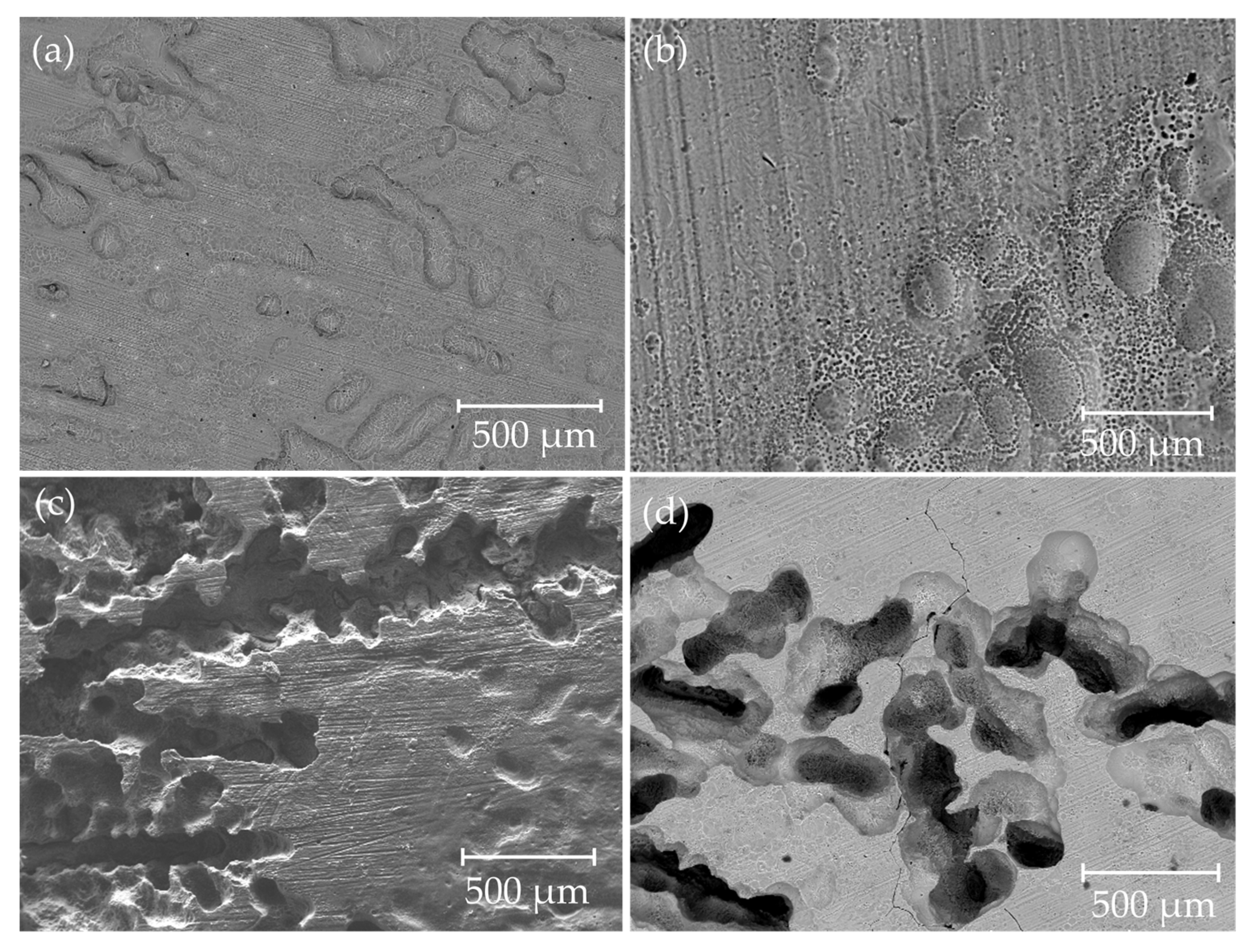 Metals 15 01165 g007 Metals 15 01165 g007