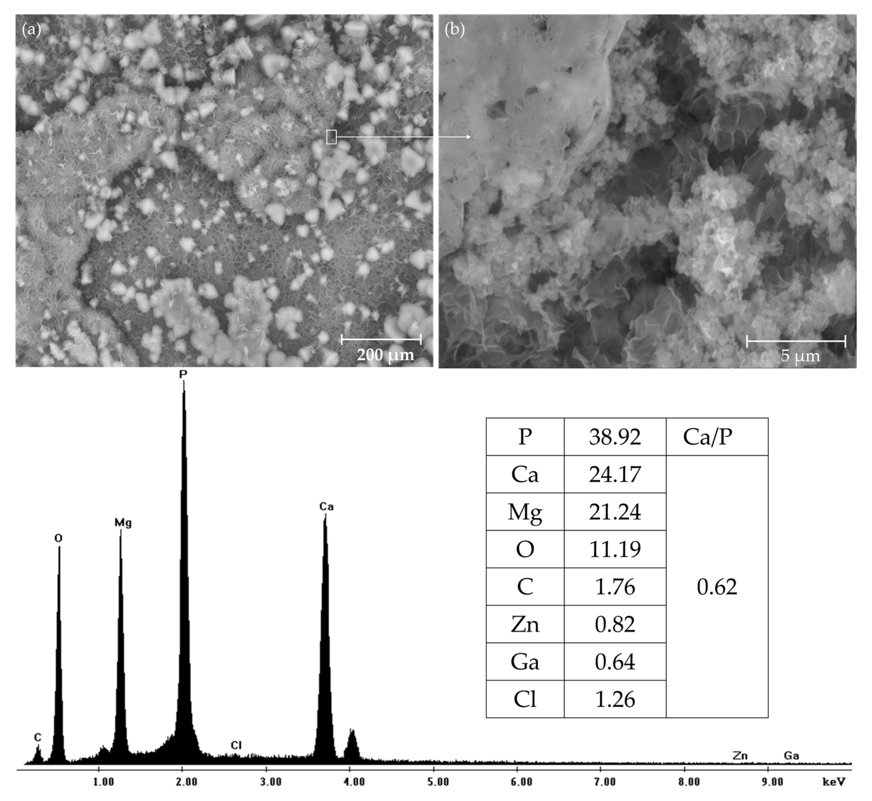 Metals 15 01165 g010 Metals 15 01165 g010