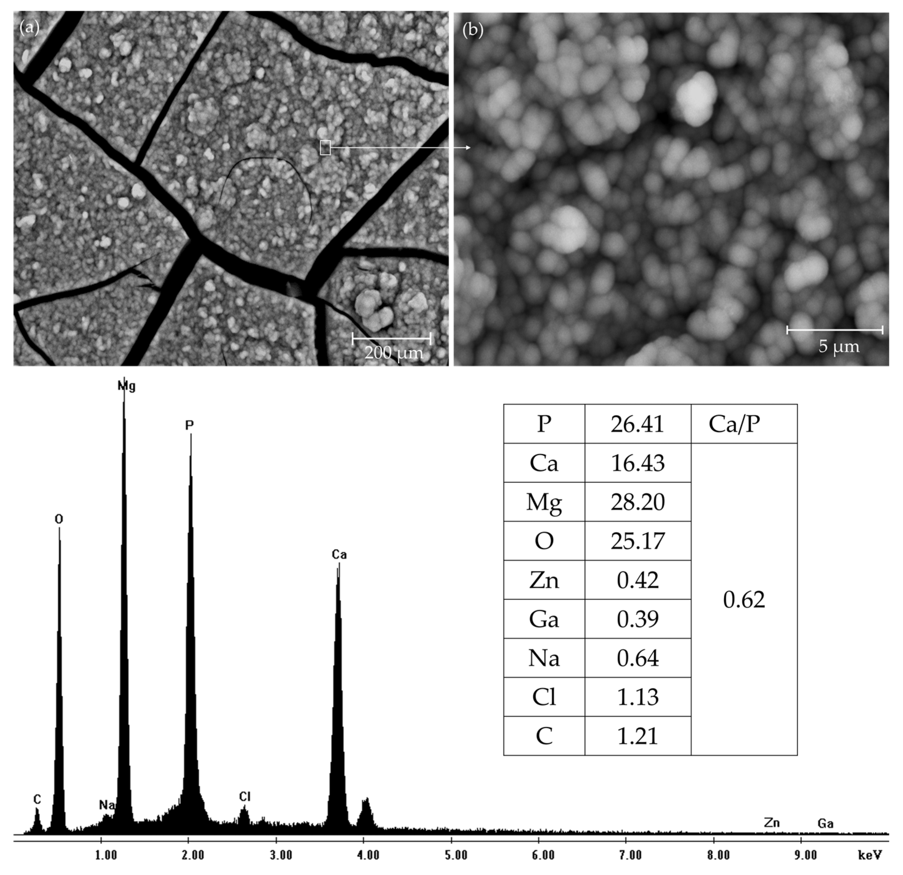 Metals 15 01165 g011 Metals 15 01165 g011