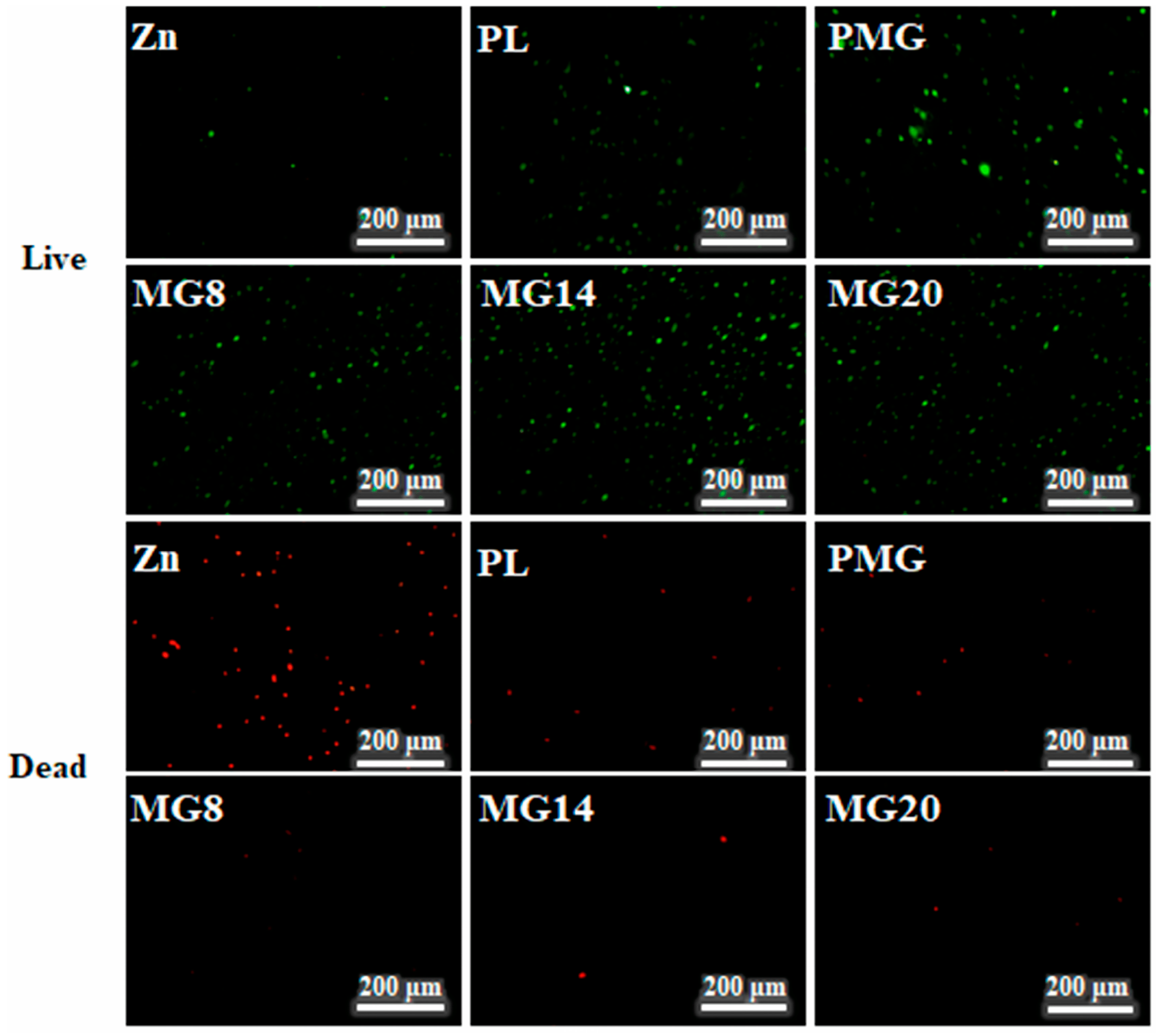 Metals 15 01187 g014 Metals 15 01187 g014