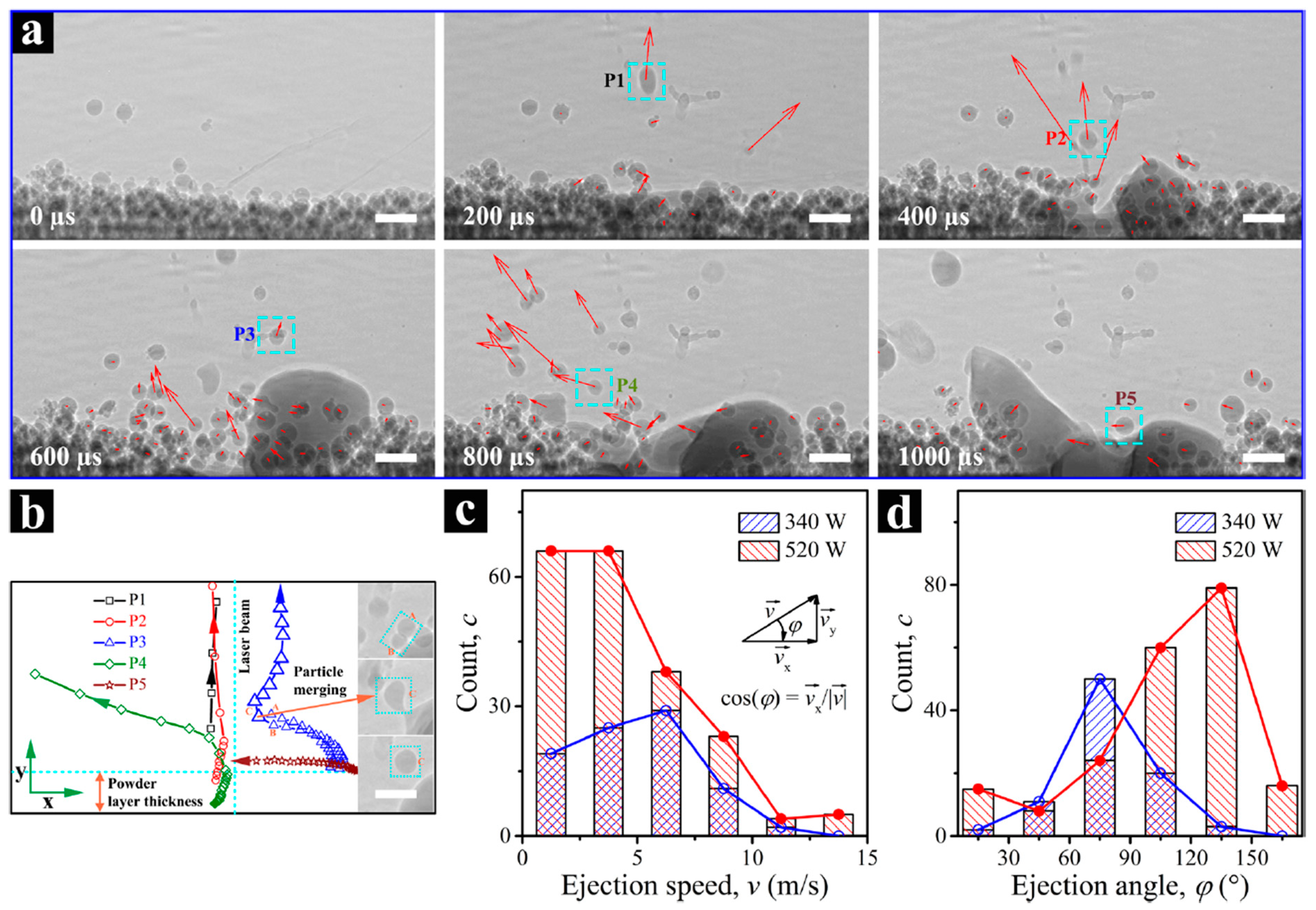Metrology 04 00012 g006