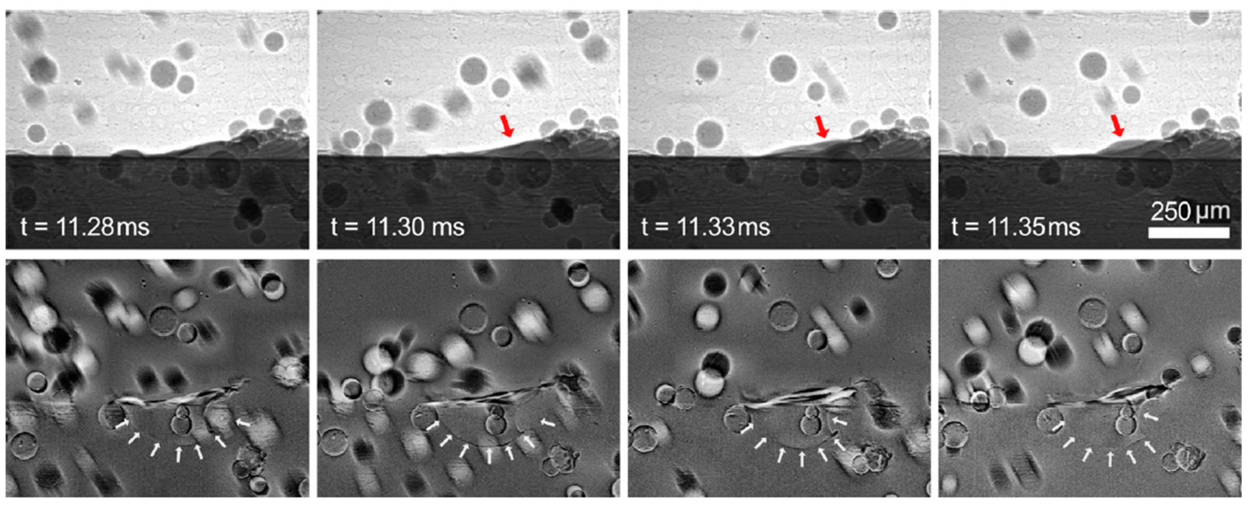 Metrology 04 00012 g007