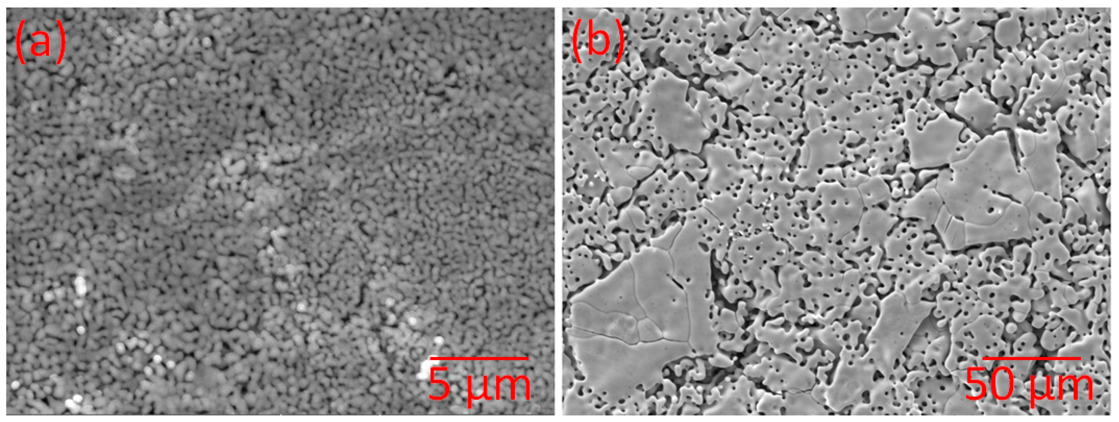 Micro 02 00036 g003 Micro 02 00036 g003