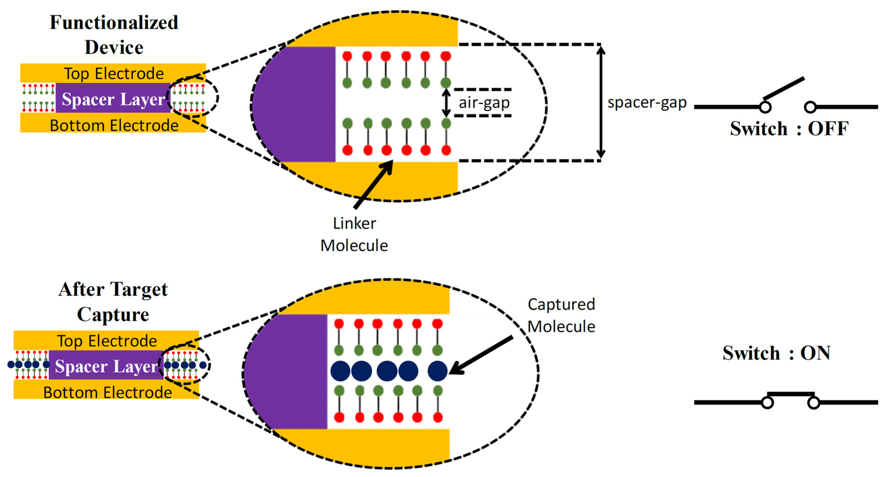 Micro | Free Full-Text | Resurgence of Electron Quantum Tunneling Sensors