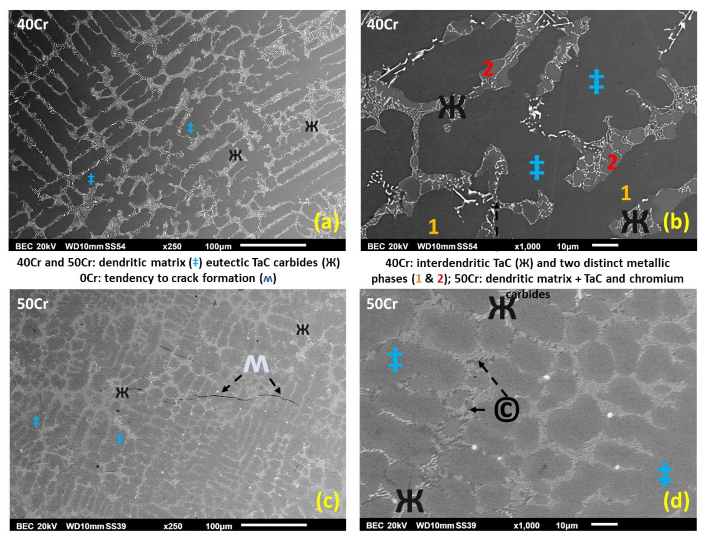 Micro 03 00017 g004 Micro 03 00017 g004