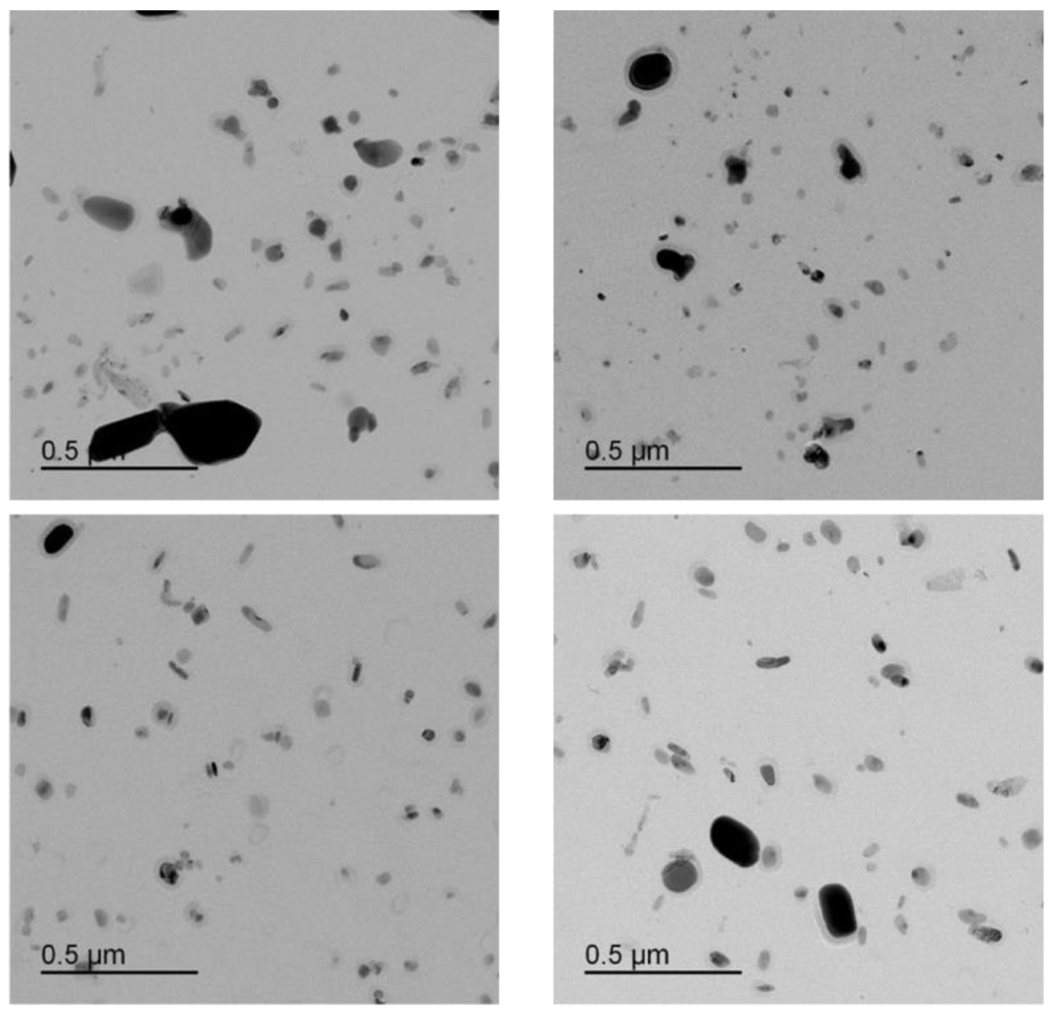 Micro 03 00020 g0a10