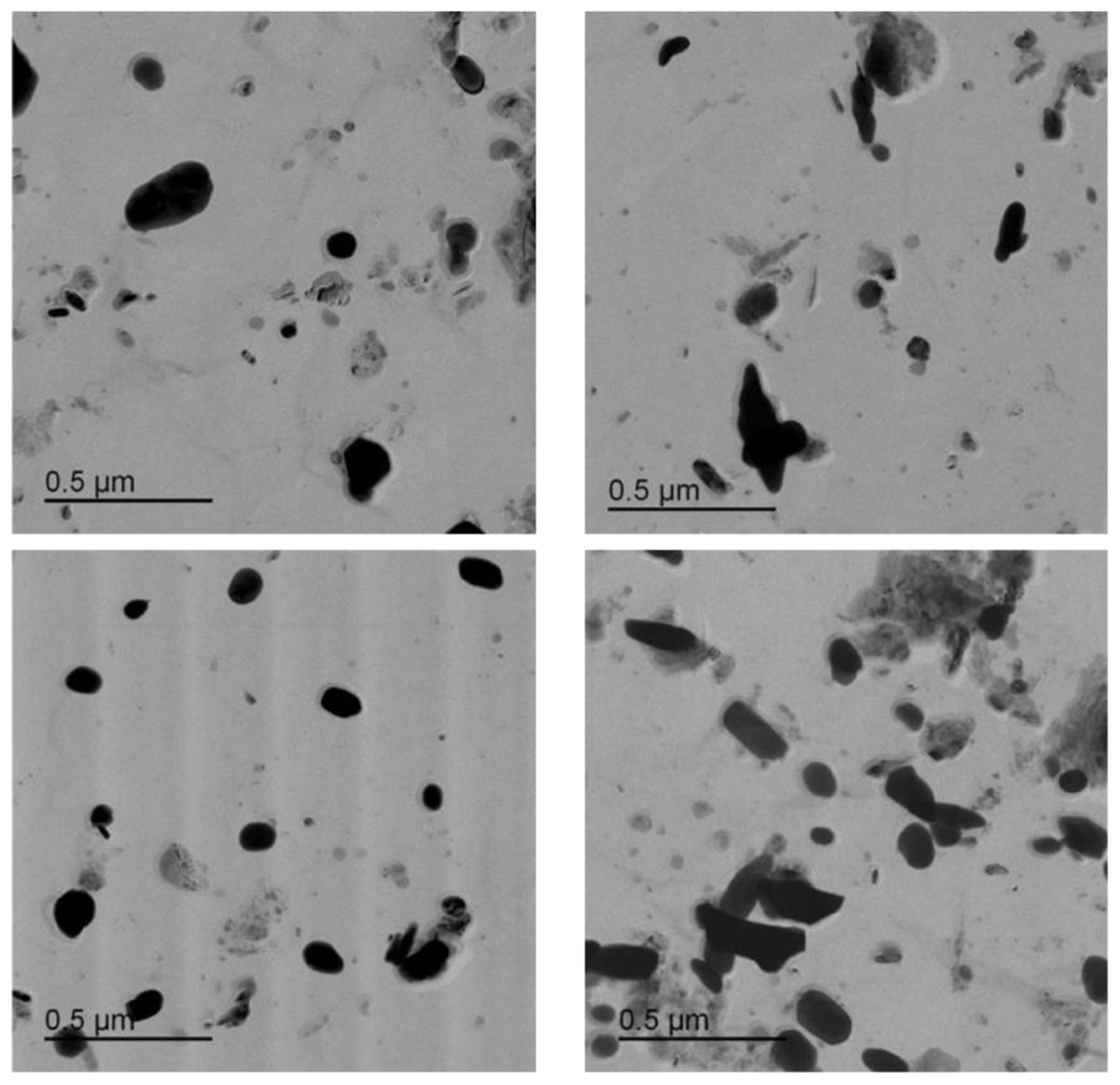 Micro 03 00020 g0a15