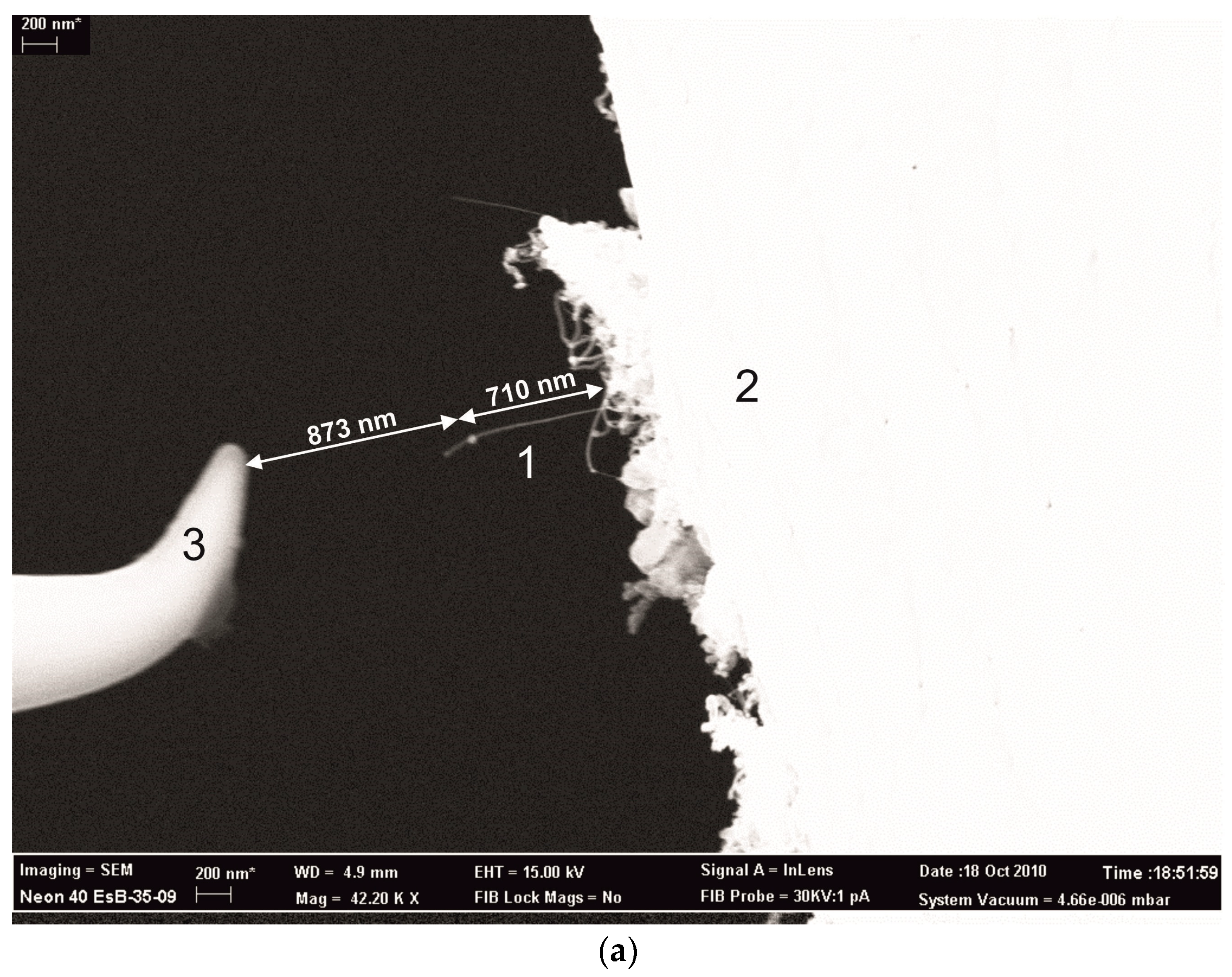 Micro 03 00064 g002a