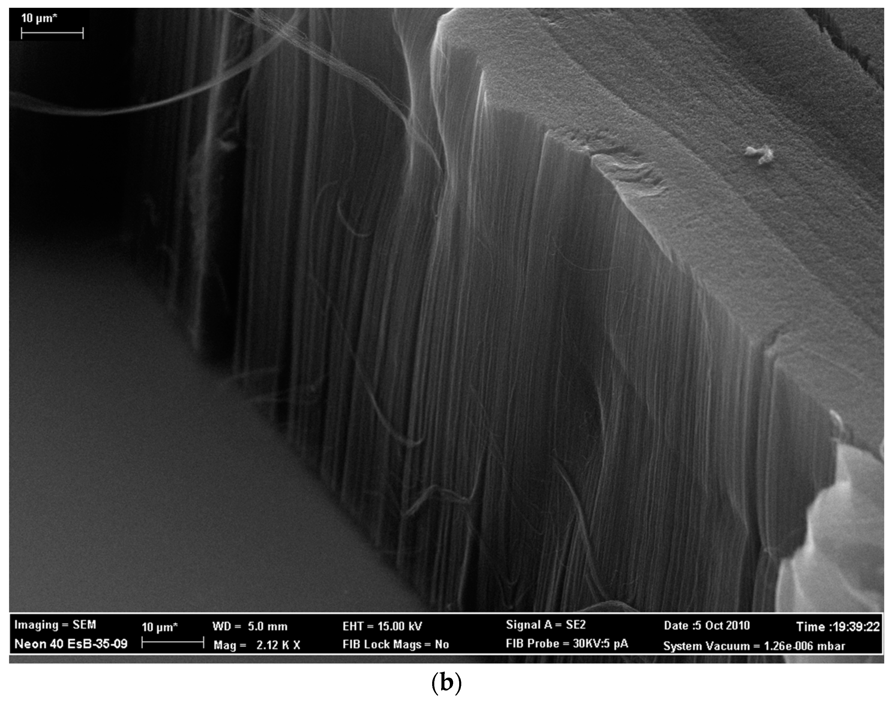 Micro 03 00064 g002b