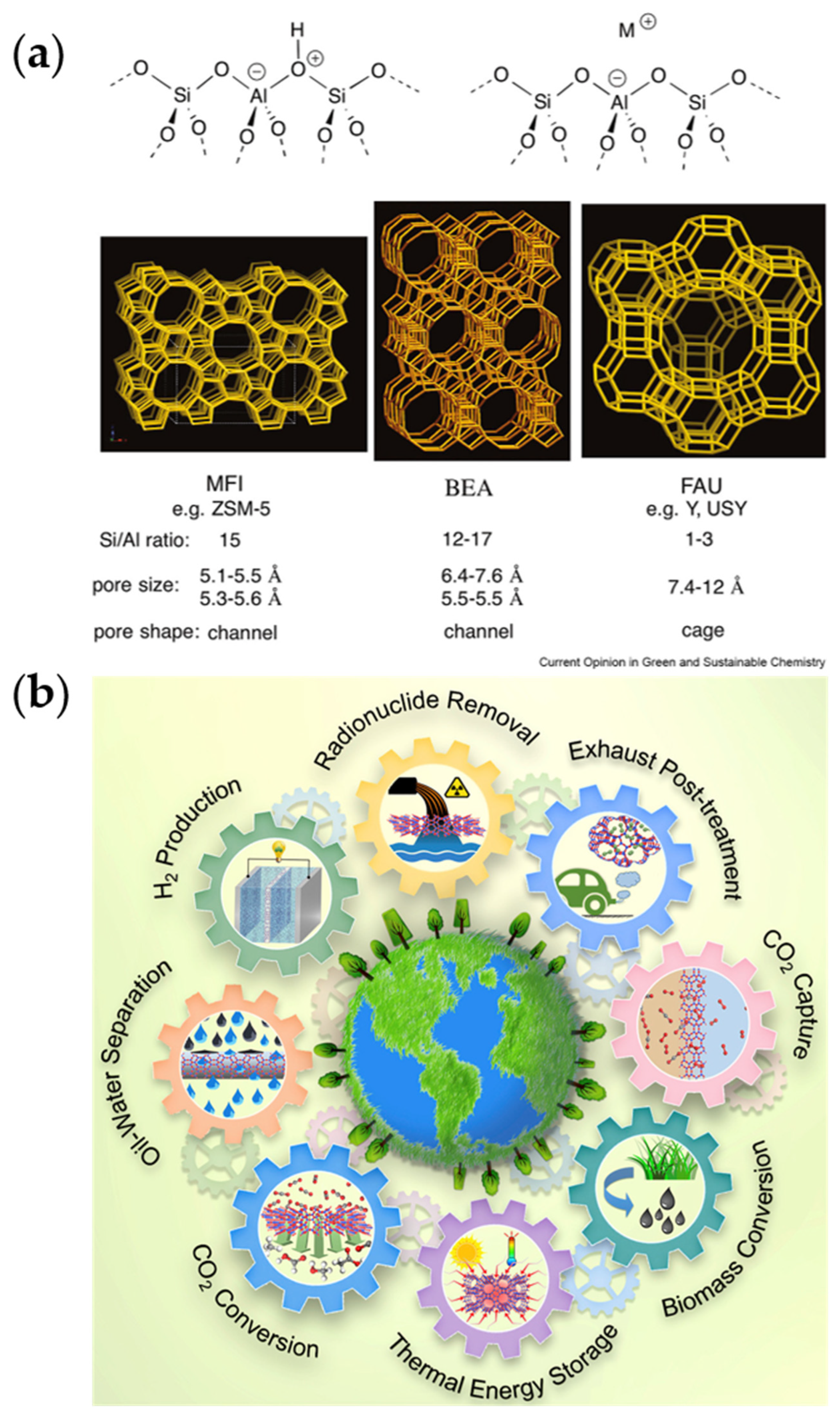 Micro 04 00016 g005 Micro 04 00016 g005