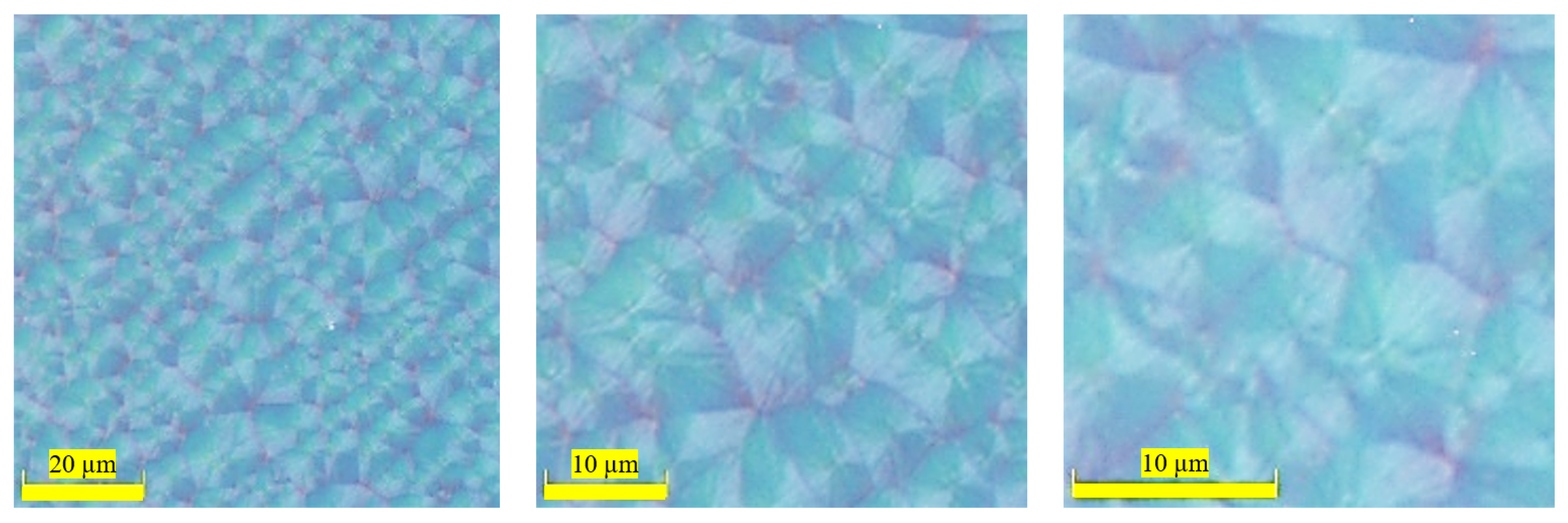 Micro 05 00012 g011