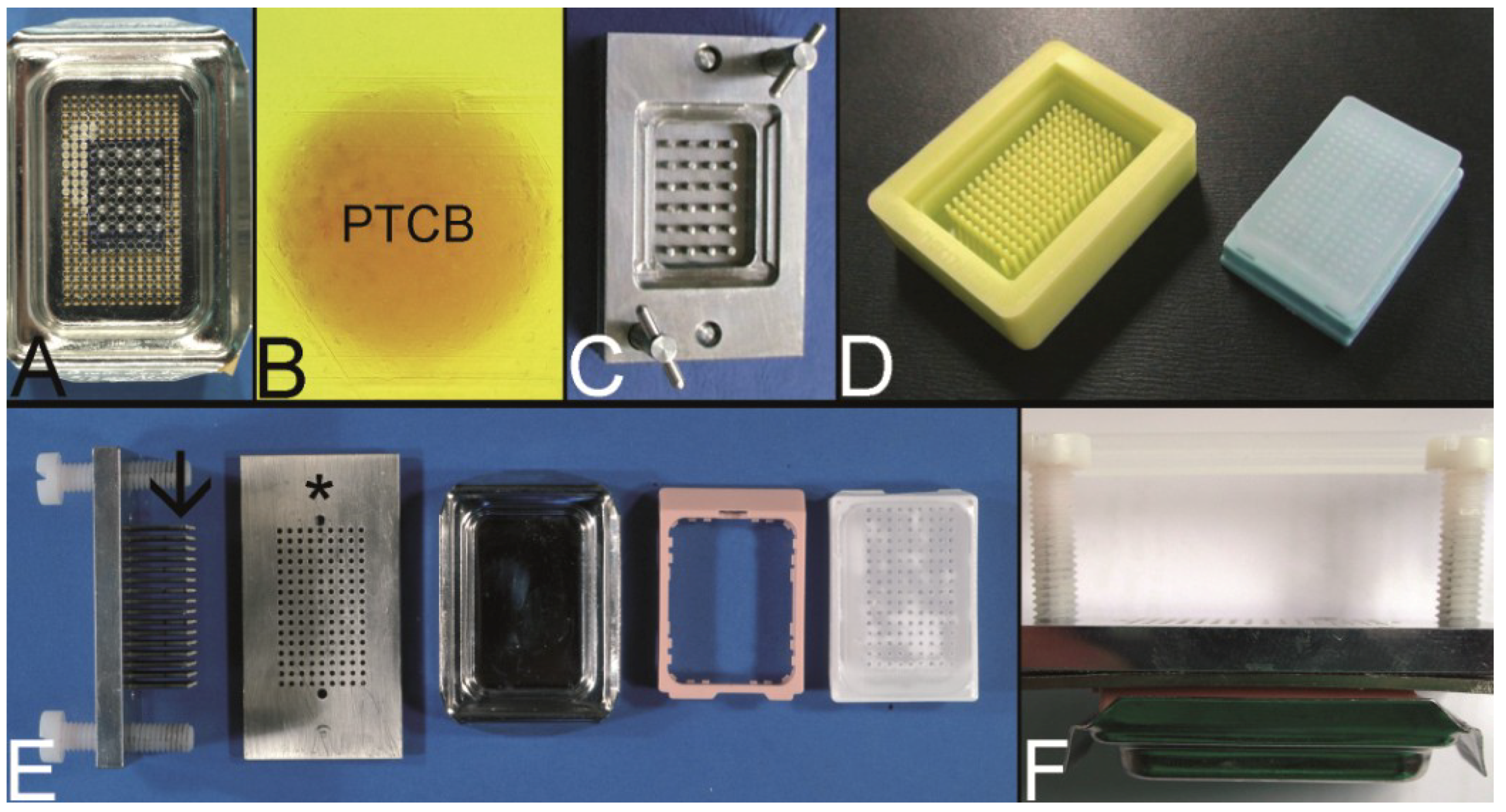 Stepwise construction of a tissue microarray. (A) A paraffin wax core