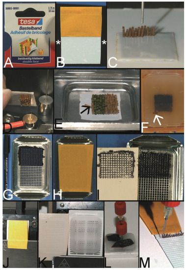 Stepwise construction of a tissue microarray. (A) A paraffin wax