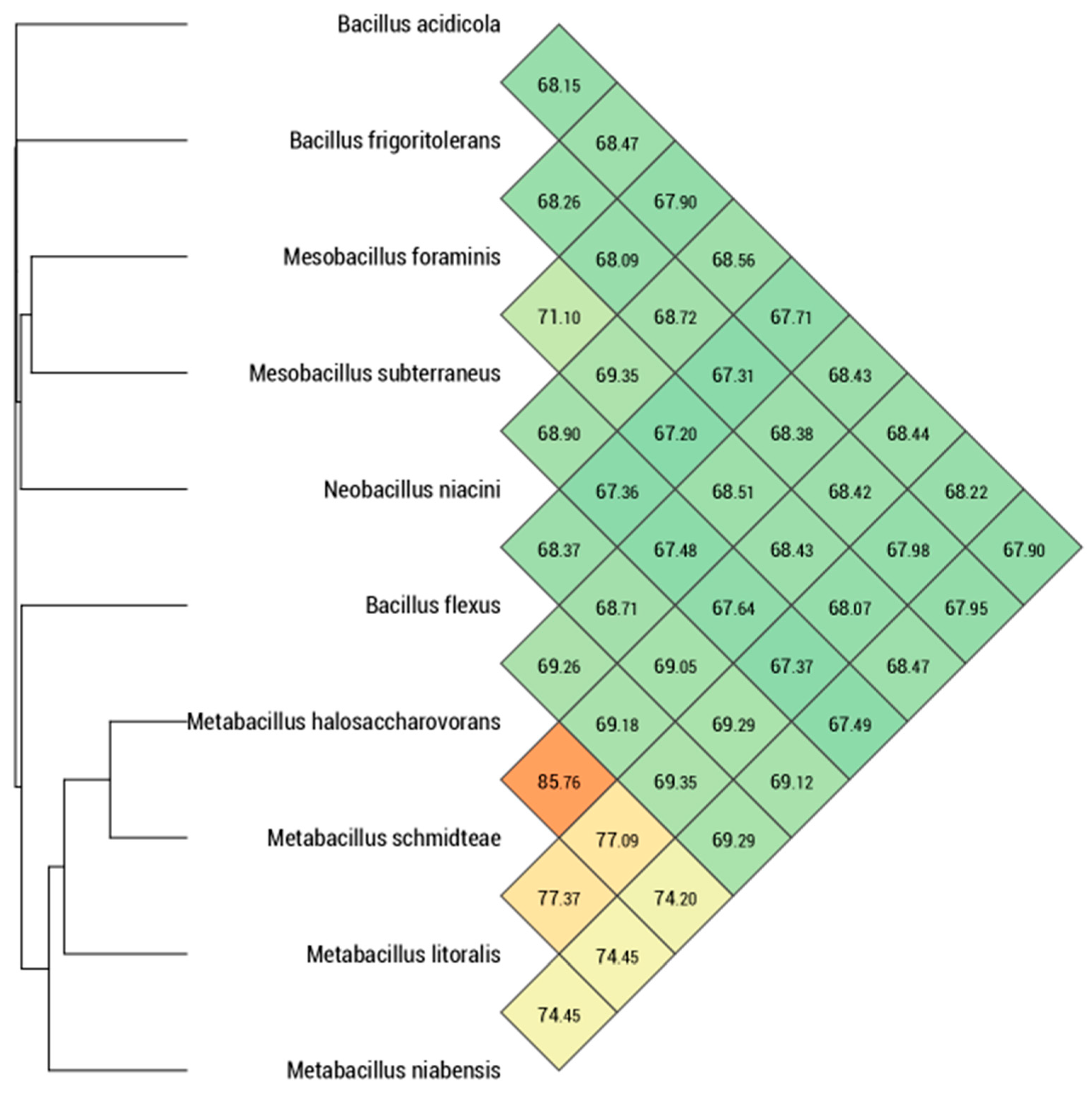 Microbiolres 12 00021 g004 Microbiolres 12 00021 g004